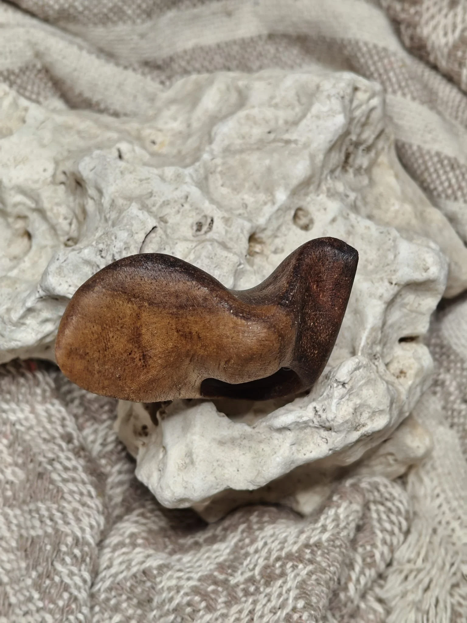 WhatsApp Image 2025-11-06 at 10.55.20 (1).jpeg