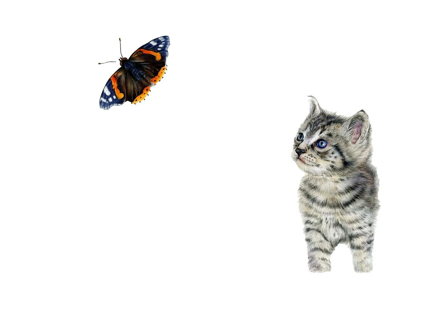 LIMITED EDITION KITTEN & BUTTERFLY PRINT