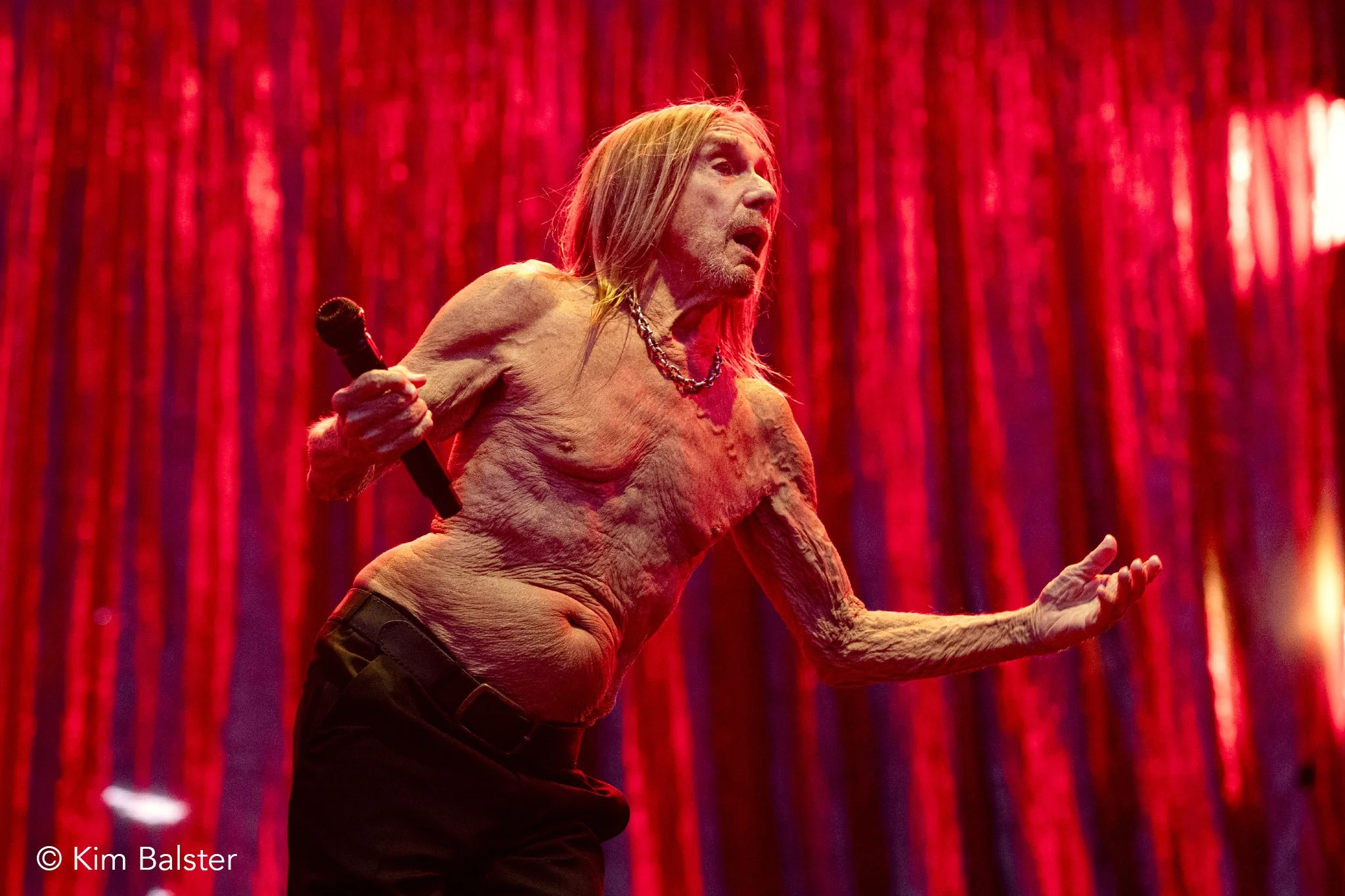 Iggy Pop / Down The Rabbit Hole / 2025
