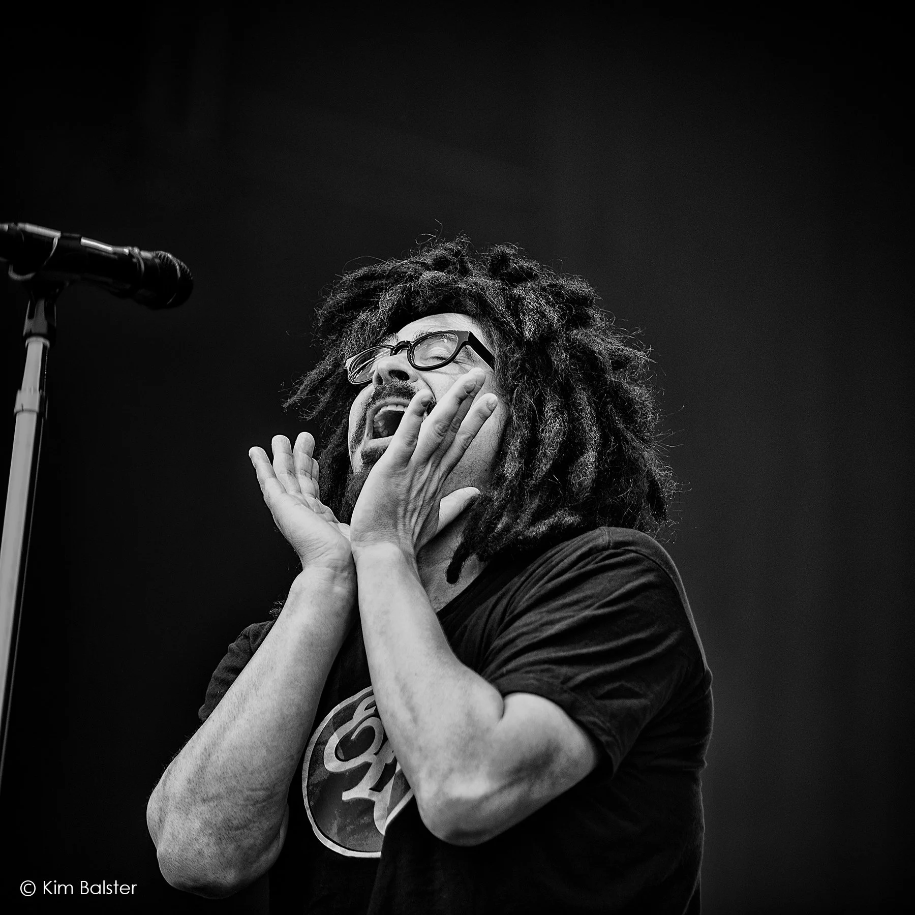 Counting Crows / Concert At Sea / 2015