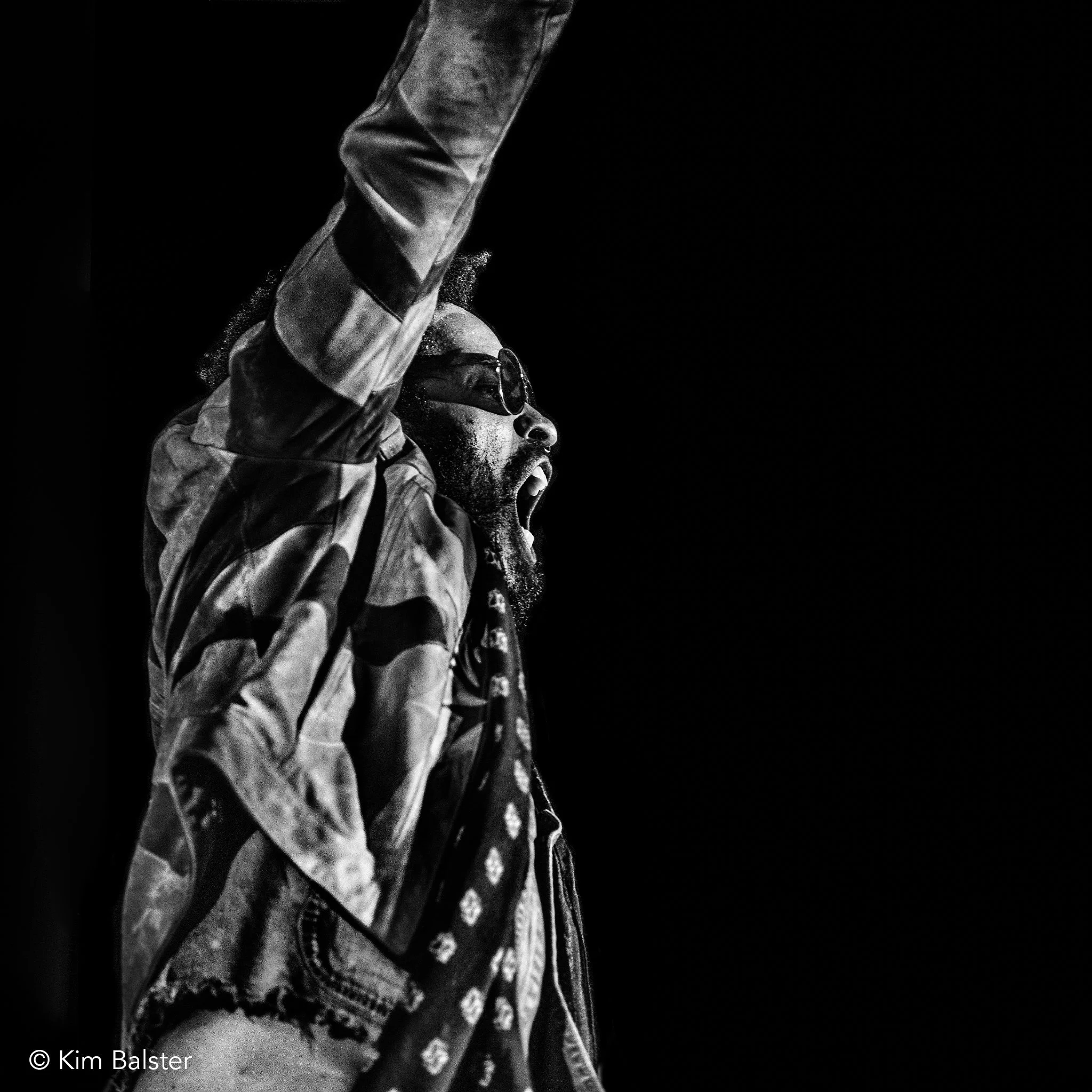 Lenny Kravitz / Concert At Sea / 2015