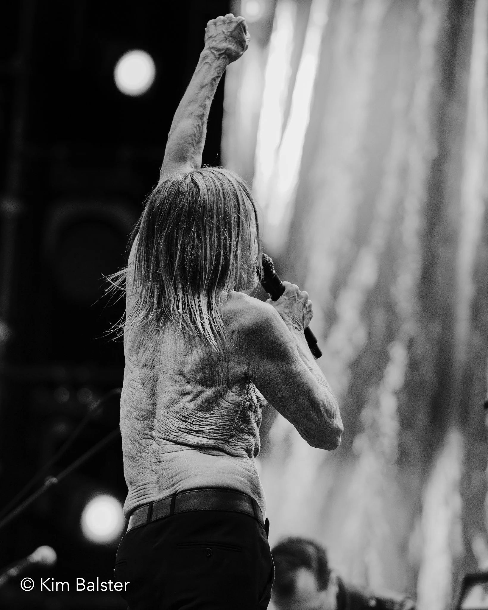 Iggy Pop / Down The Rabbit Hole / 2025