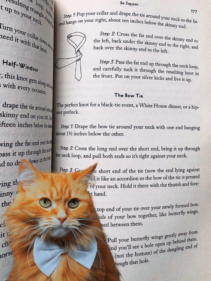 book product img copy 5.png