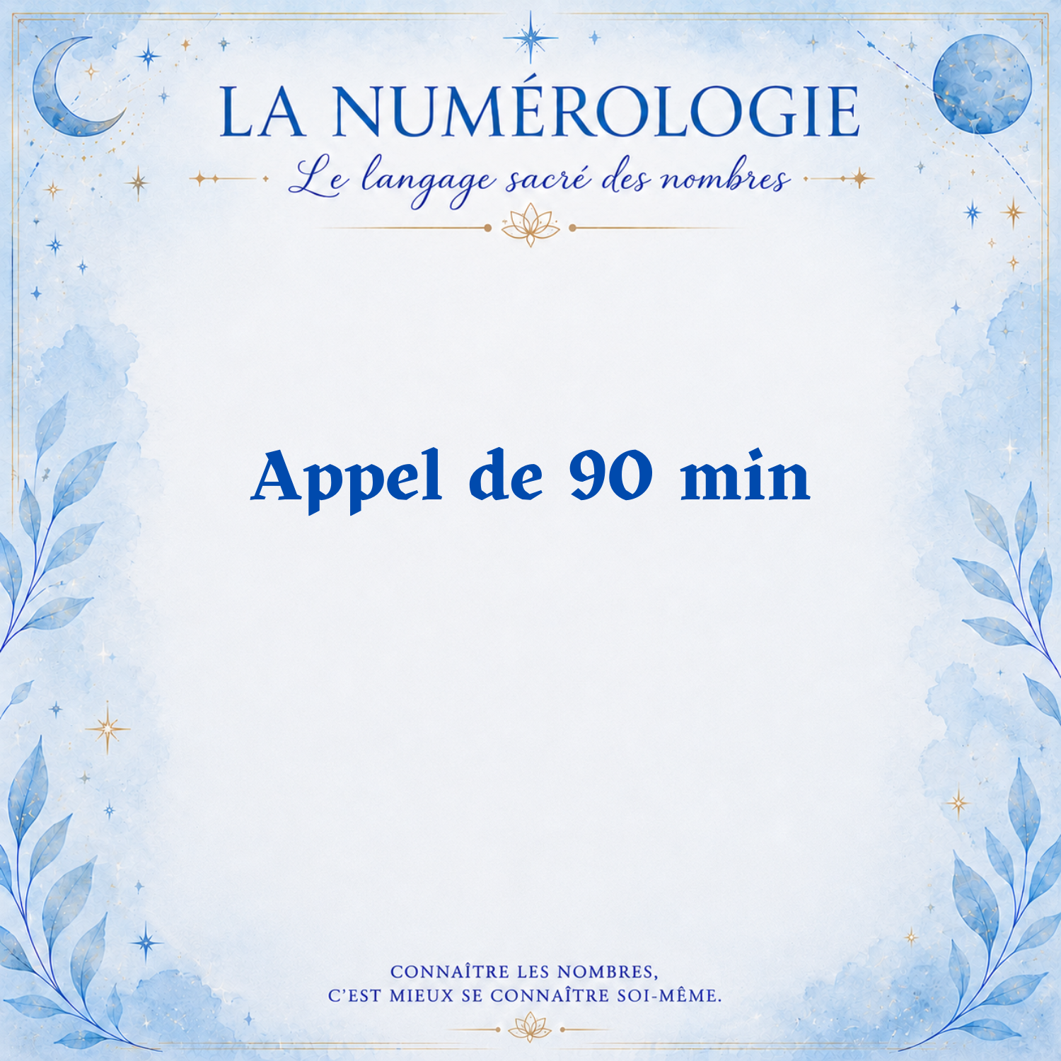 Appel téléphonique 90 min