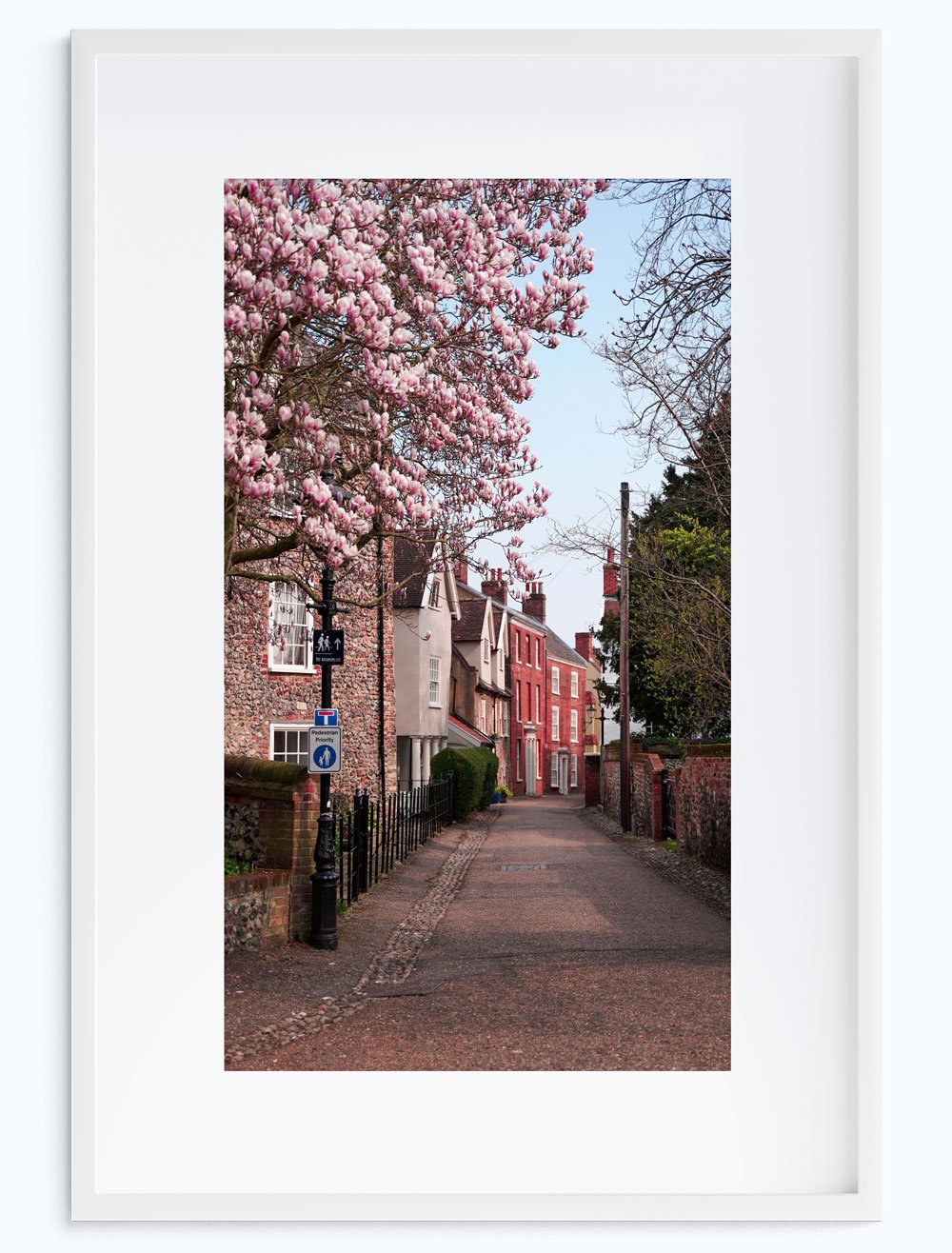 Pink-Street.jpg