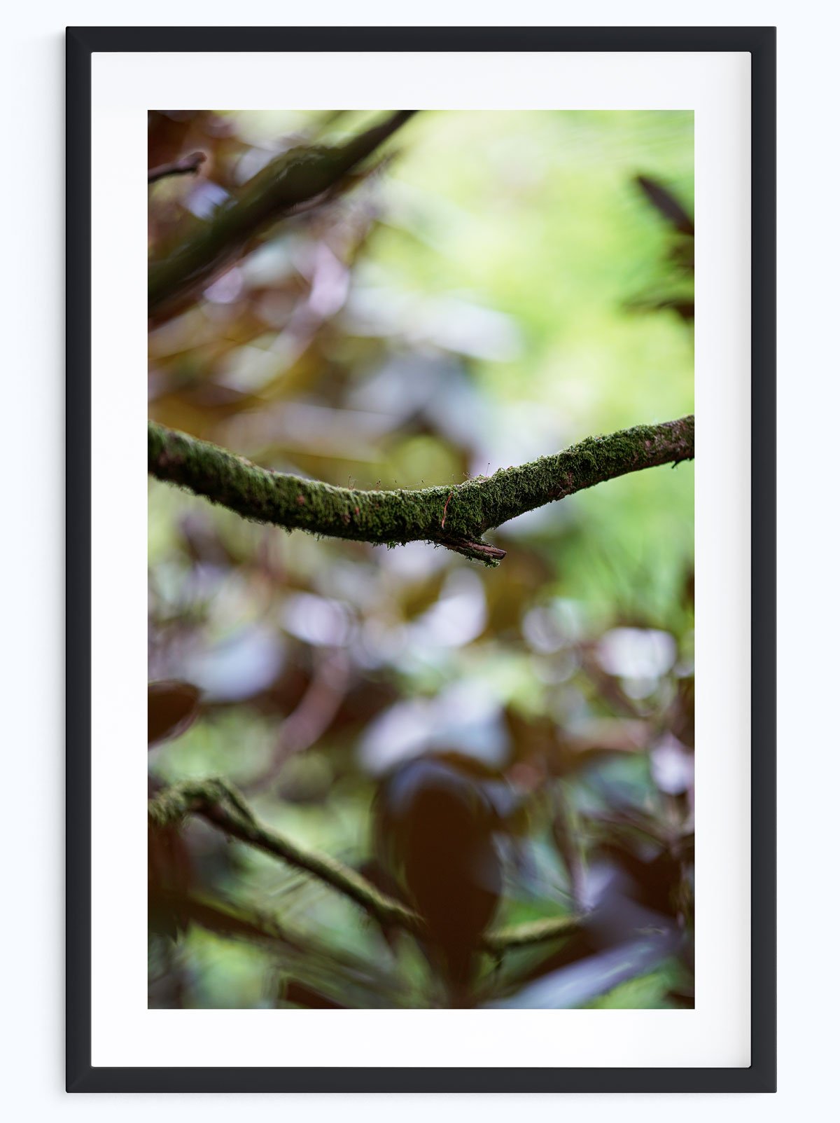 Patterns-of-Nature.jpg