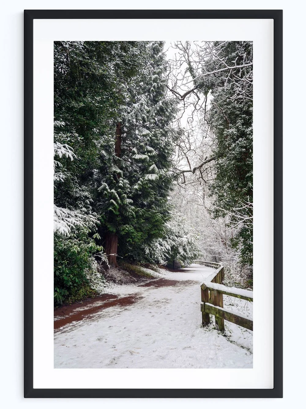 Winter's-Tale.jpg