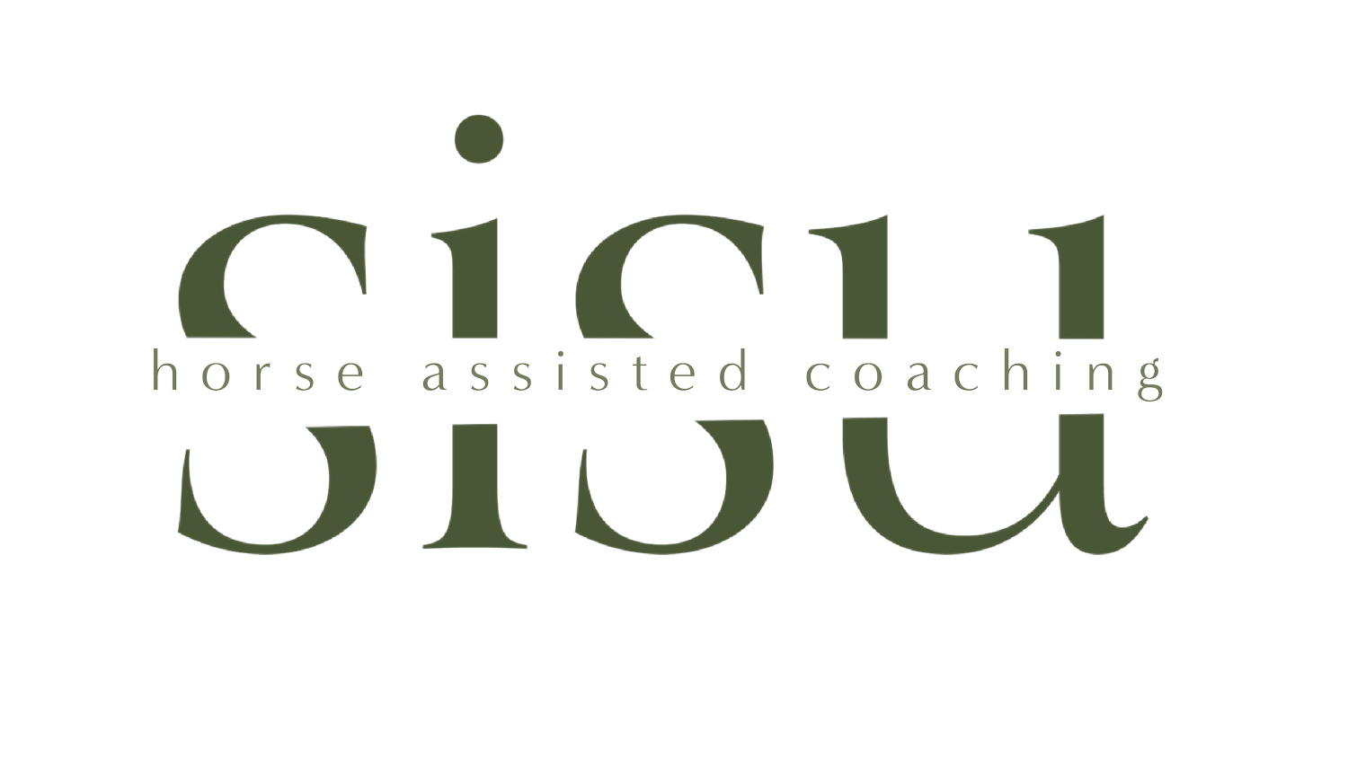 SISU horse assisted coaching