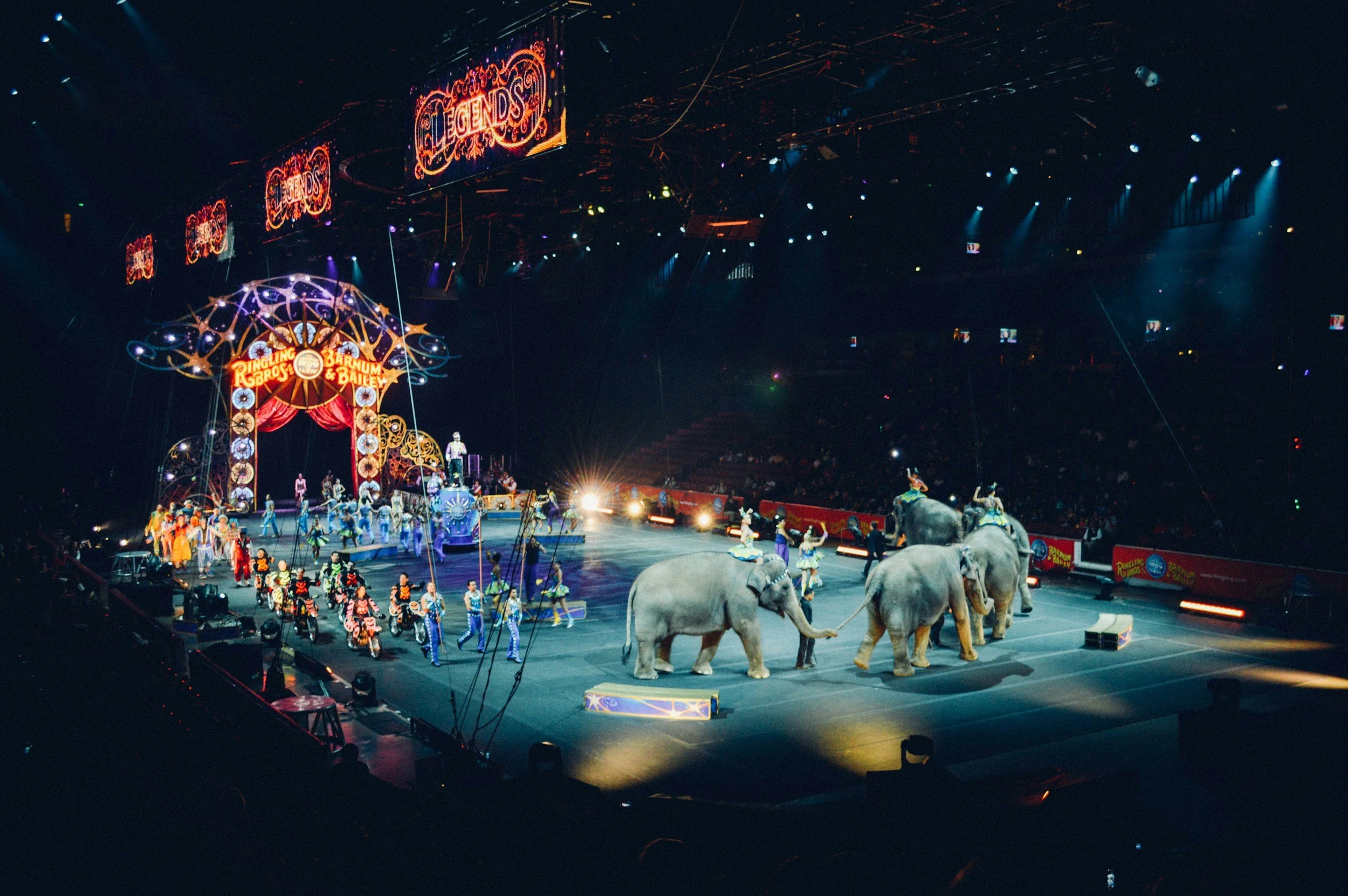 Under The Big Top