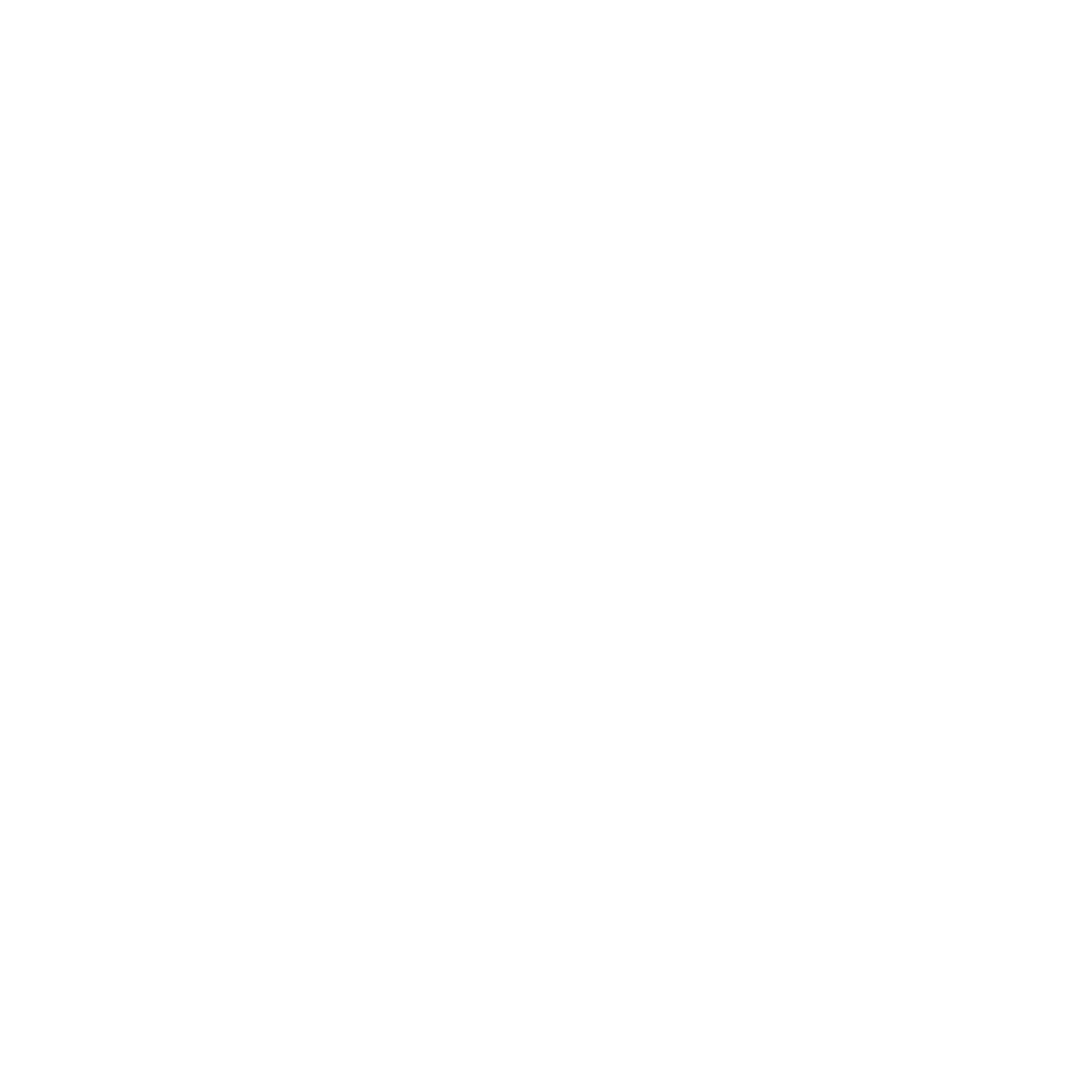 Sam Martucci - Visual Artist (Sam Martucci Photo)