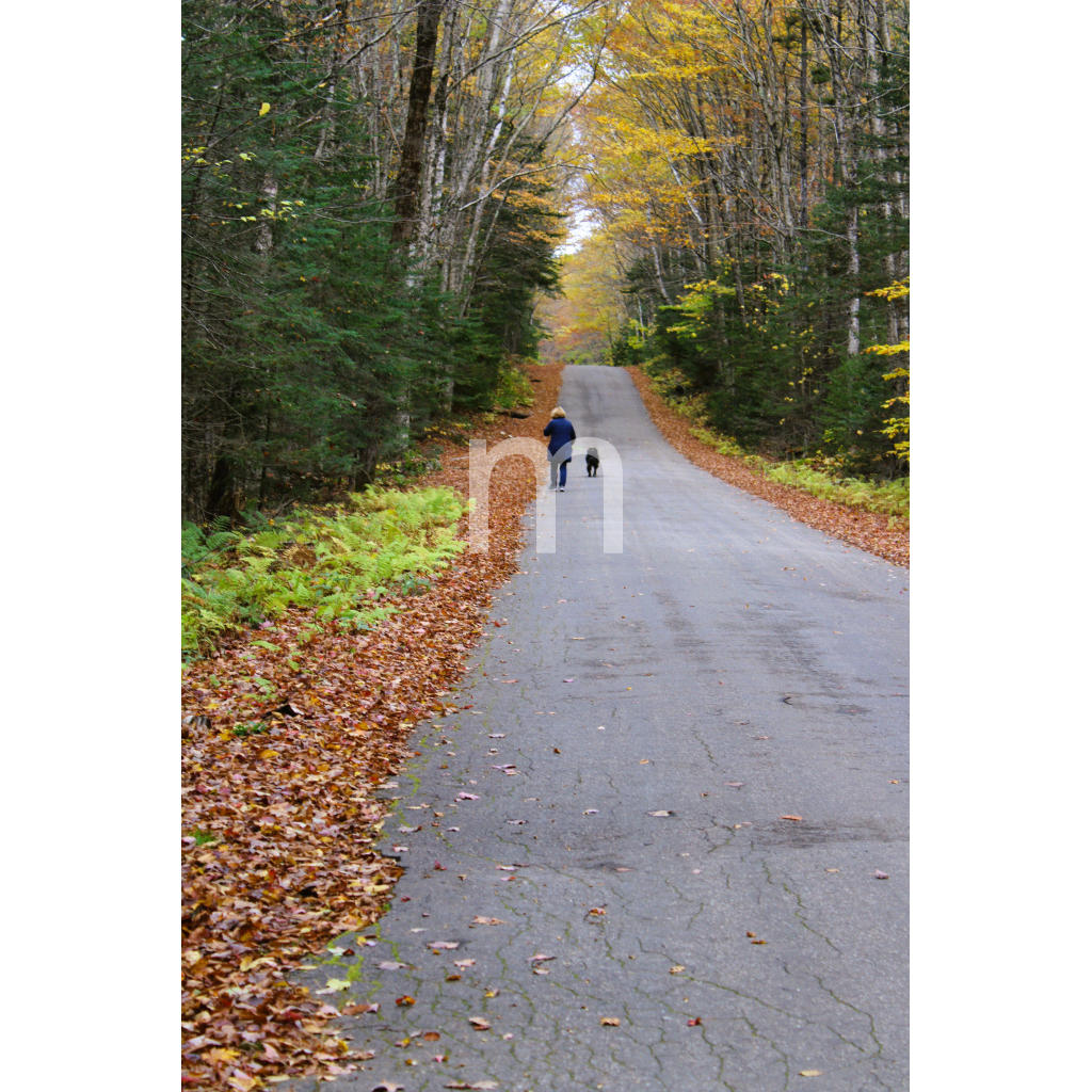 image_original_6f8f57715090da2632453988d9a1501b.png