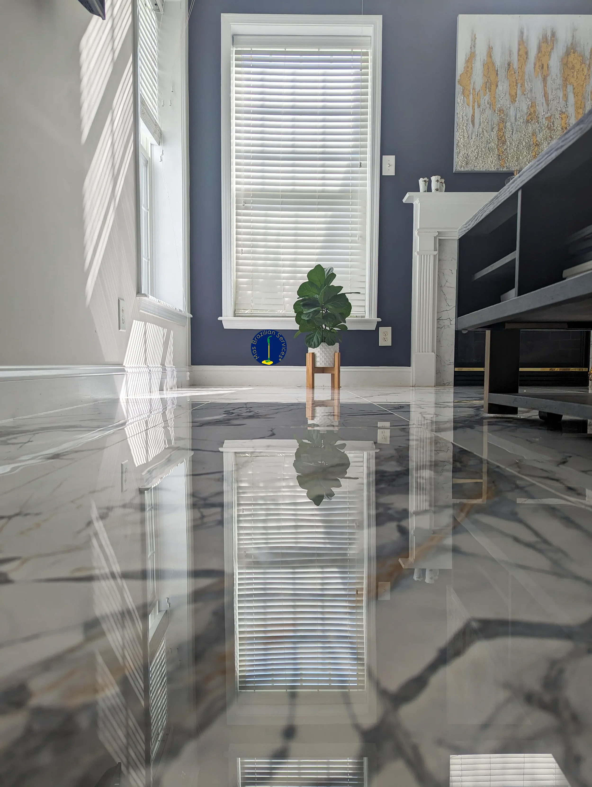 The Contamination of Surfaces and Hands.