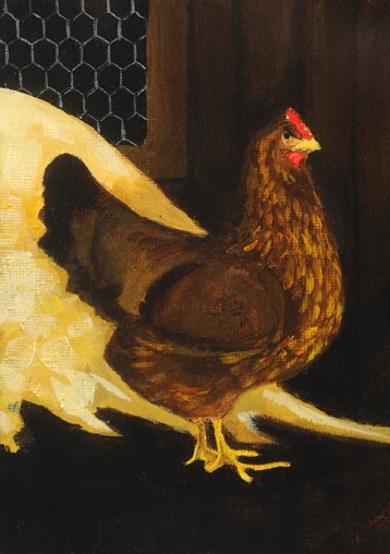 English Hen - 3x5 Oil on Panel - SFG 2012.jpg