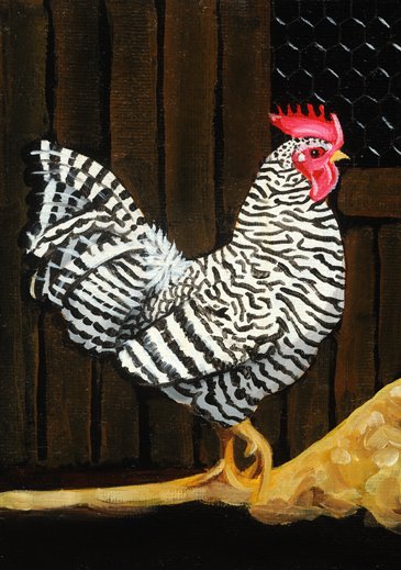 Plymouth Rock Rooster - 3x5 Oil on Panel - SFG 2012.jpg