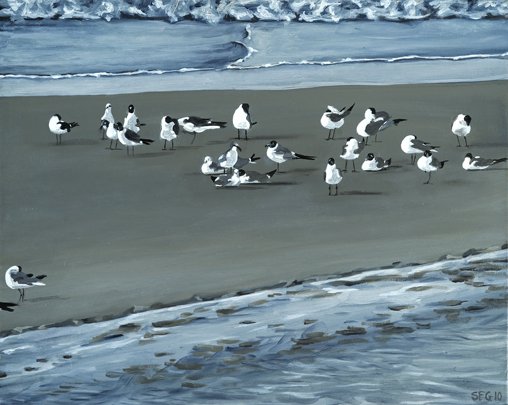 Bird Island - 20x16 Oil on Canvas - SFG 2012.jpg