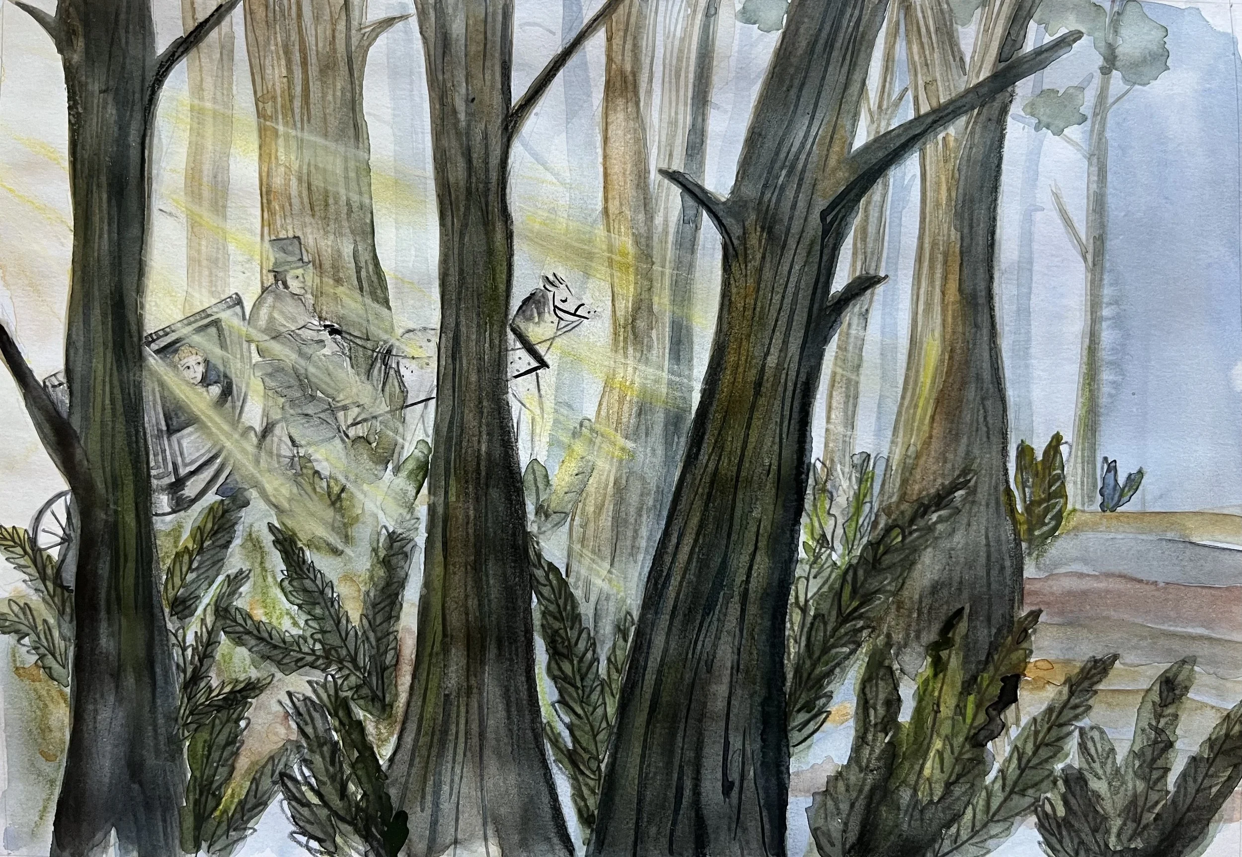 These trees are older than planes, trains, and cars.