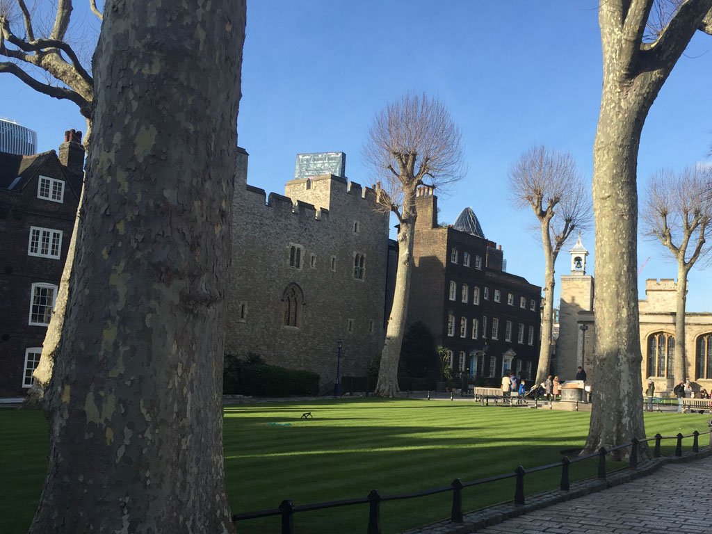 Tower of London Green