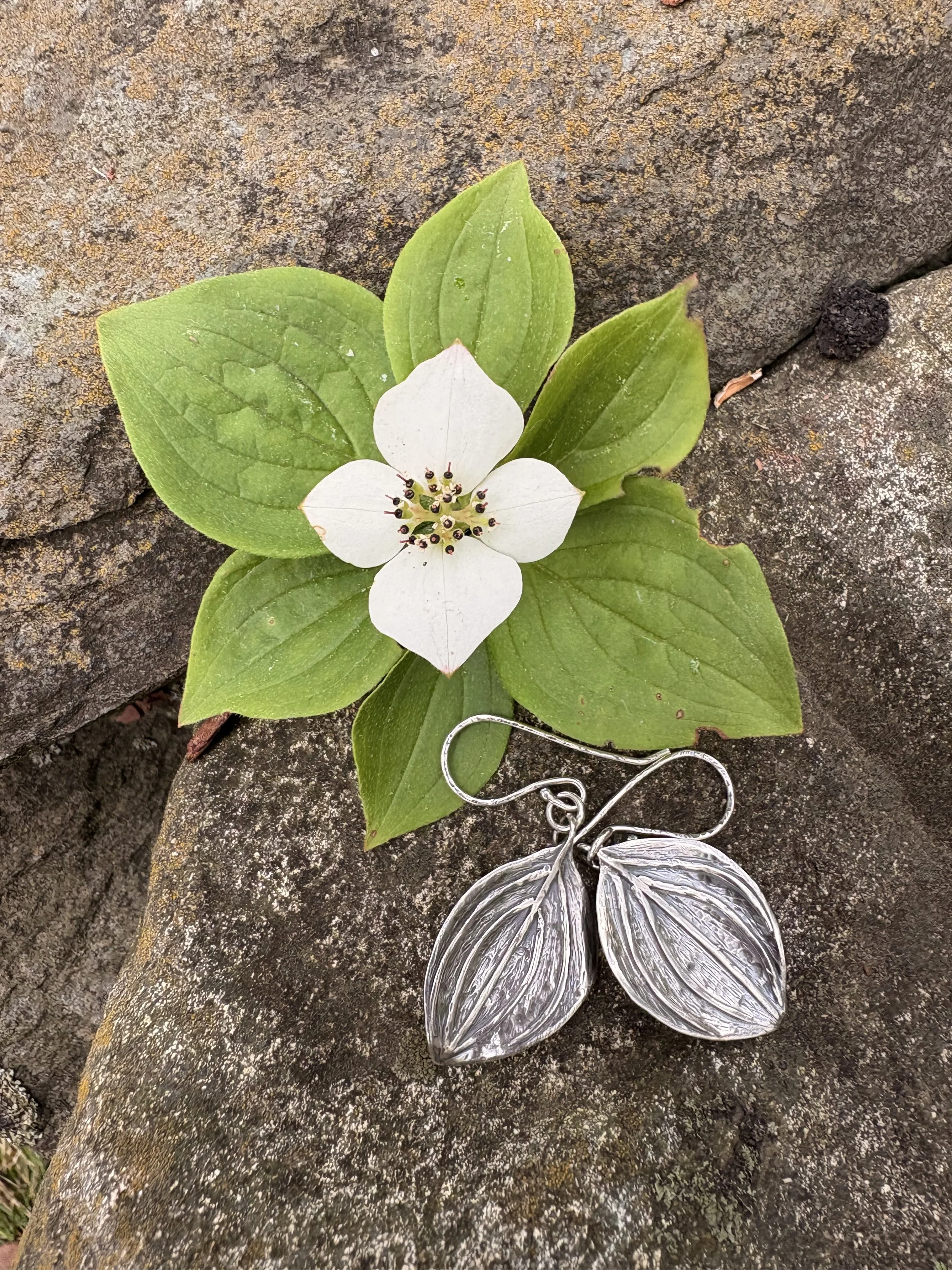 Bunchberry Leaf Earrings