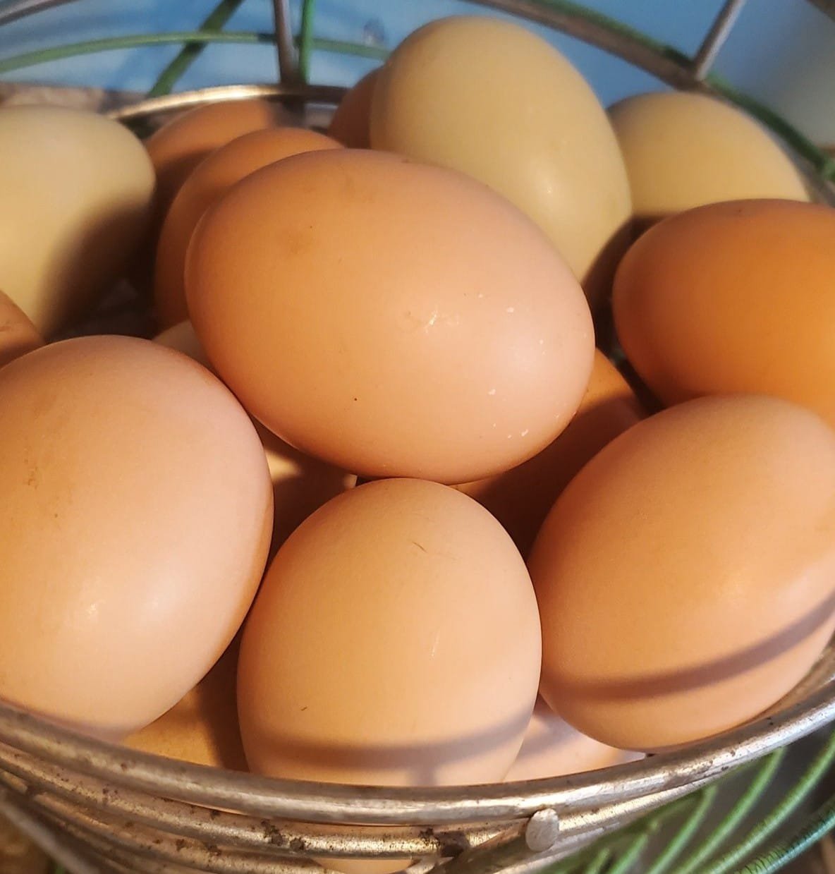 eggs3.jpg