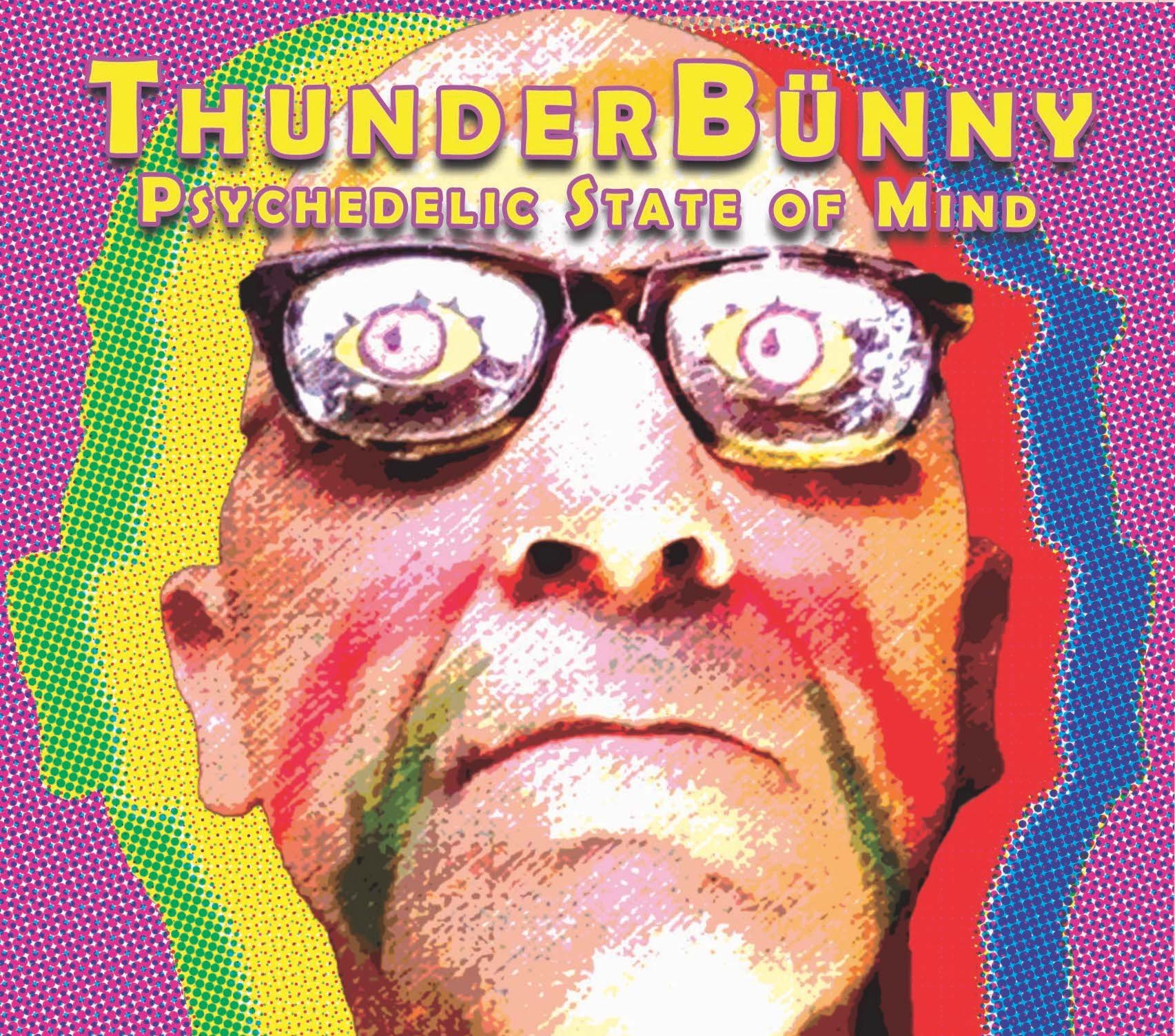 ThunderBunny+FrontCoverFinal.jpg
