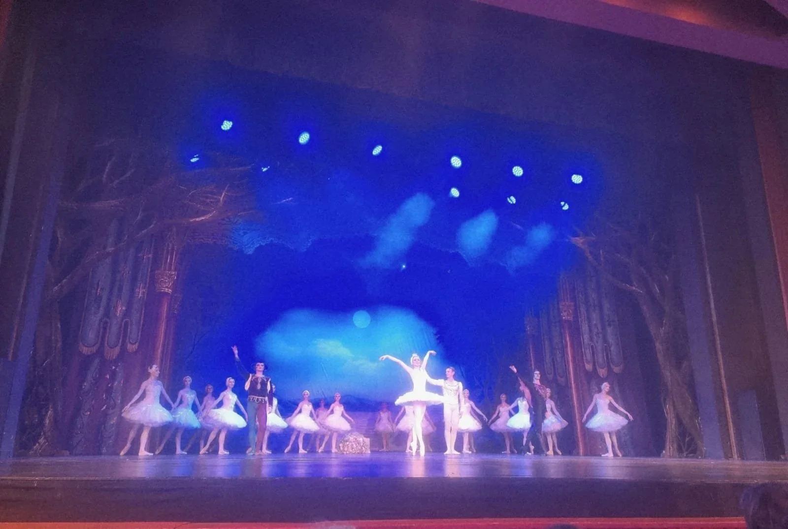 Swan Lake: A Meeting of Worlds 