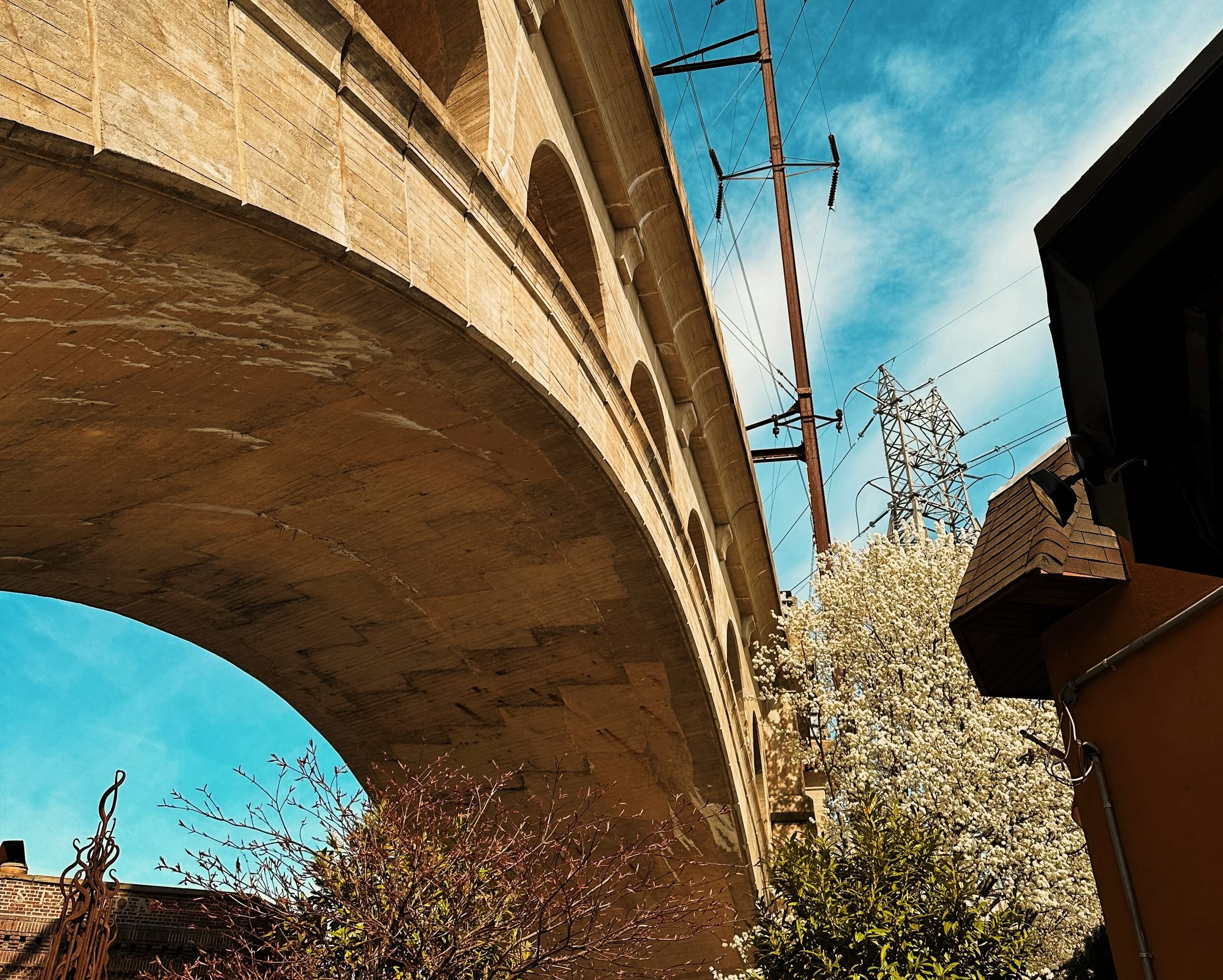 Embracing Wellness During Seasonal Changes