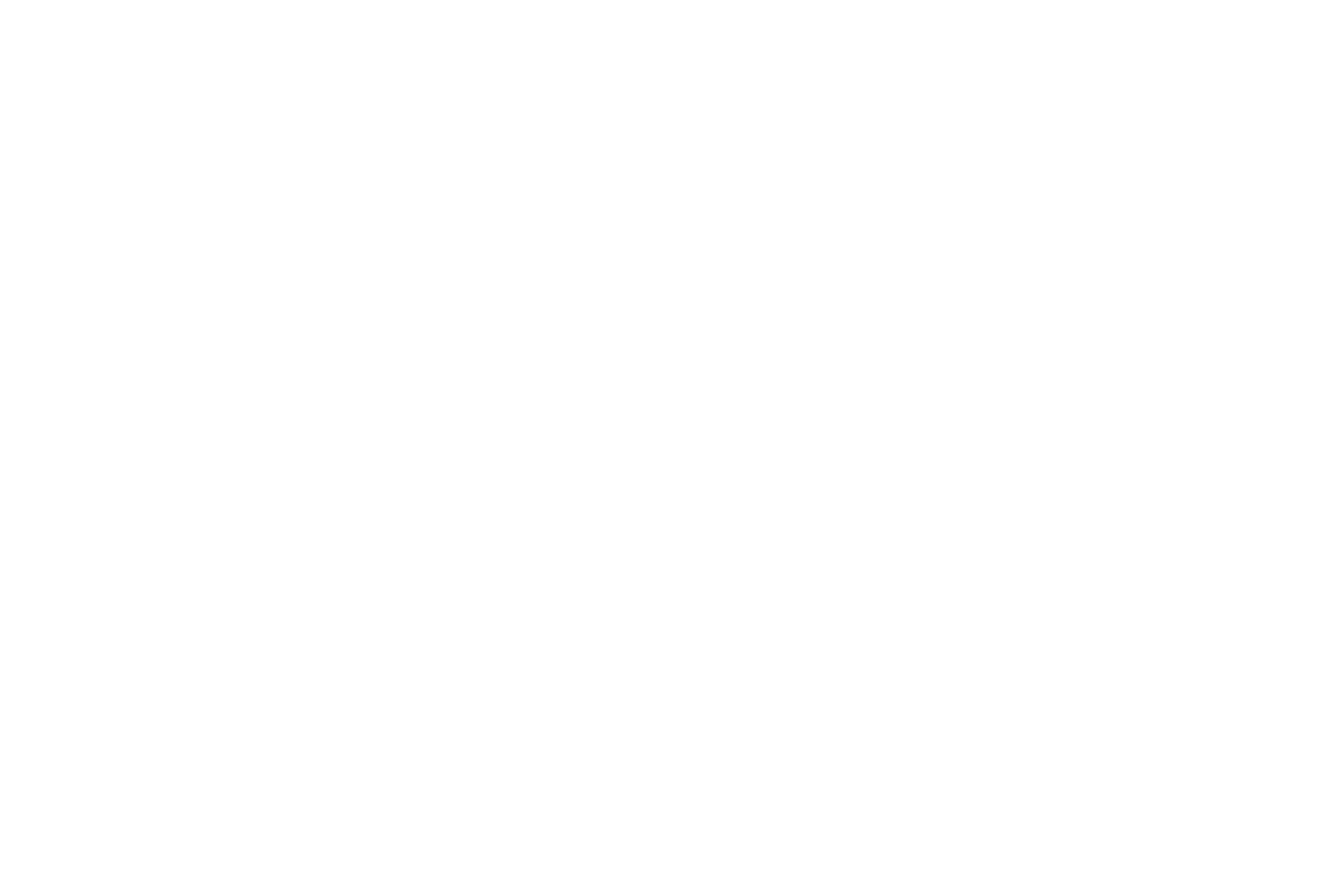 Carine Van Hee