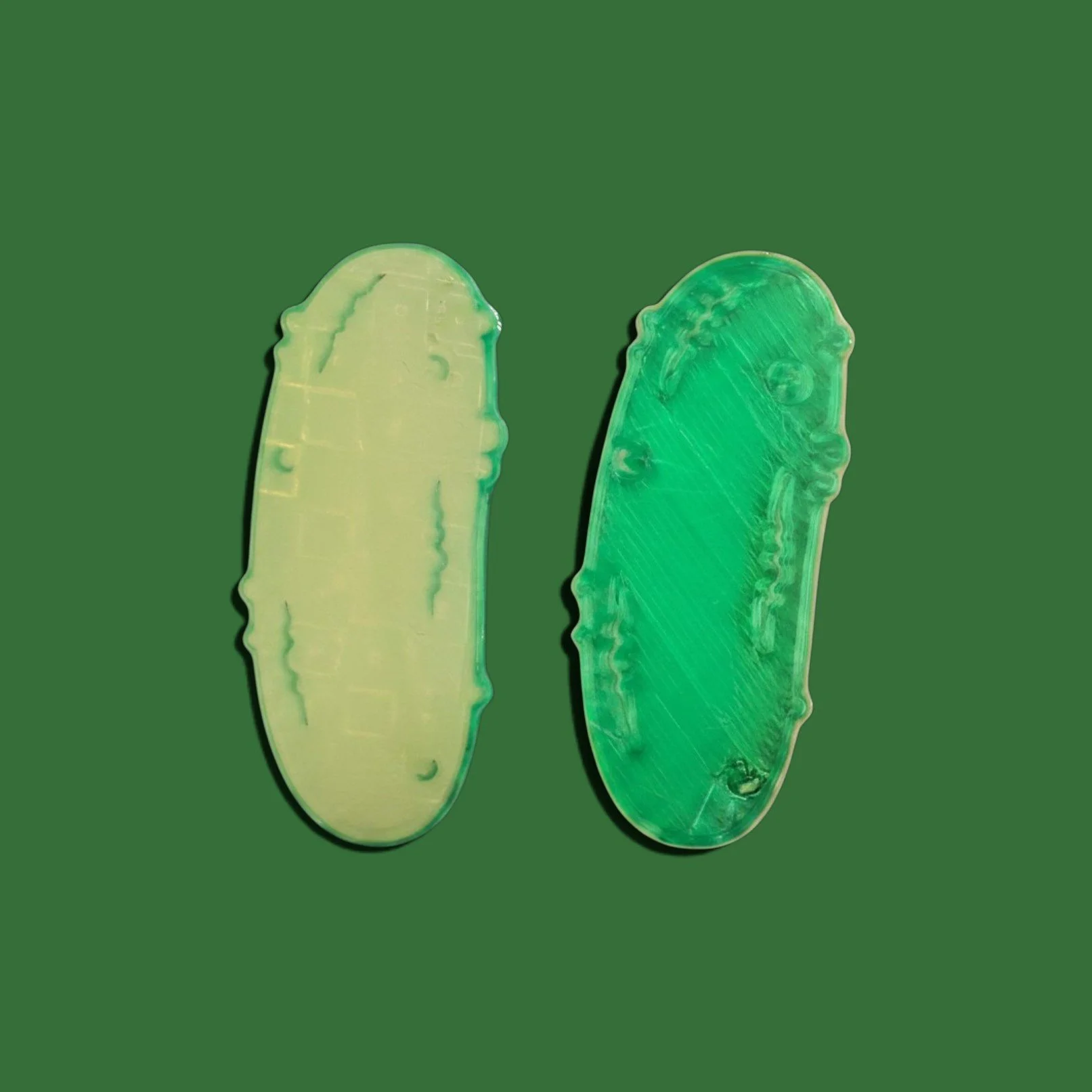 DONE both pickles hair clips.jpg