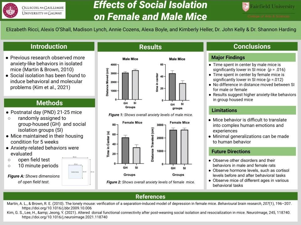 Elizabeth Ricci Research Portfolio