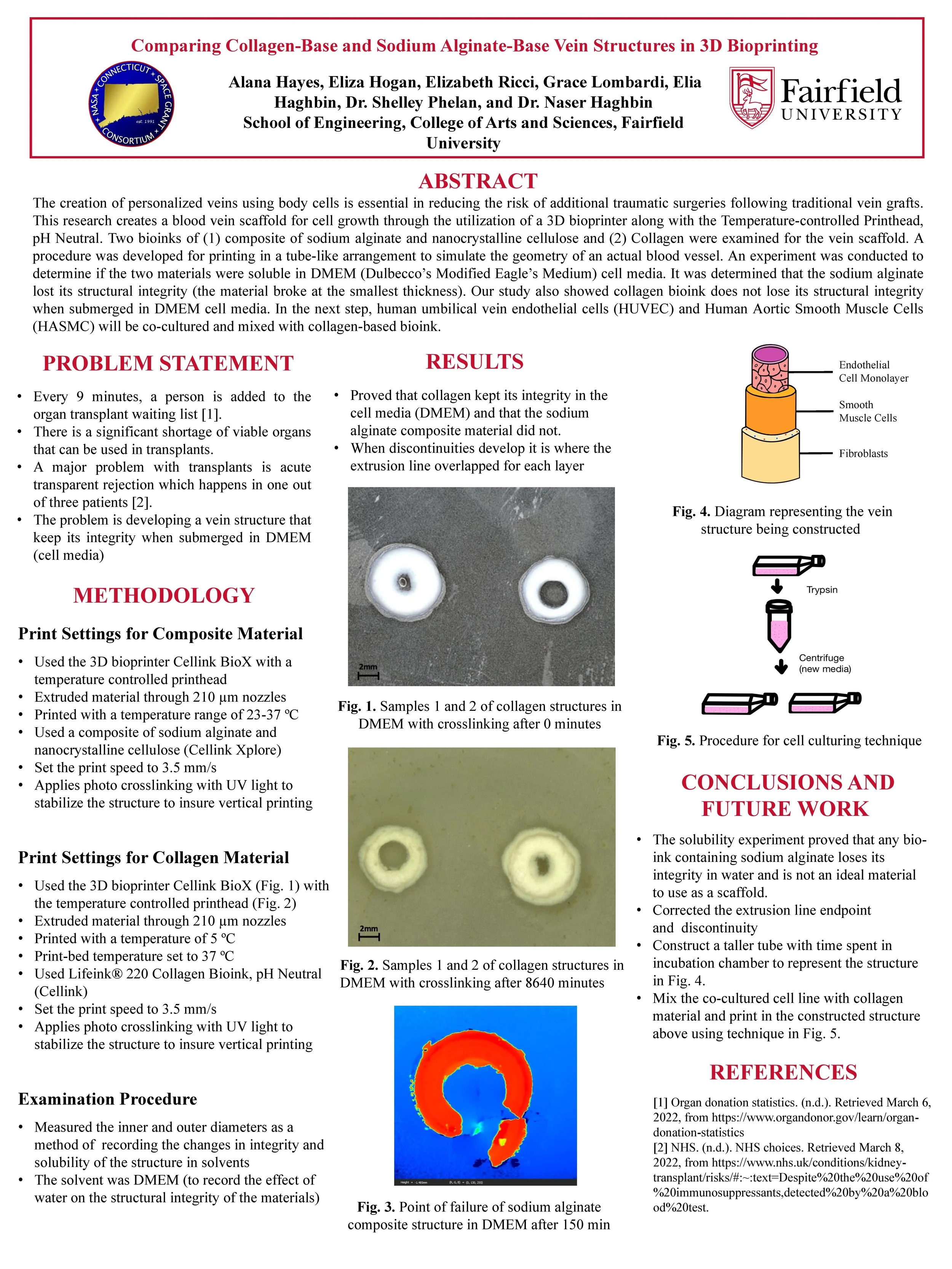 Elizabeth Ricci Research Portfolio