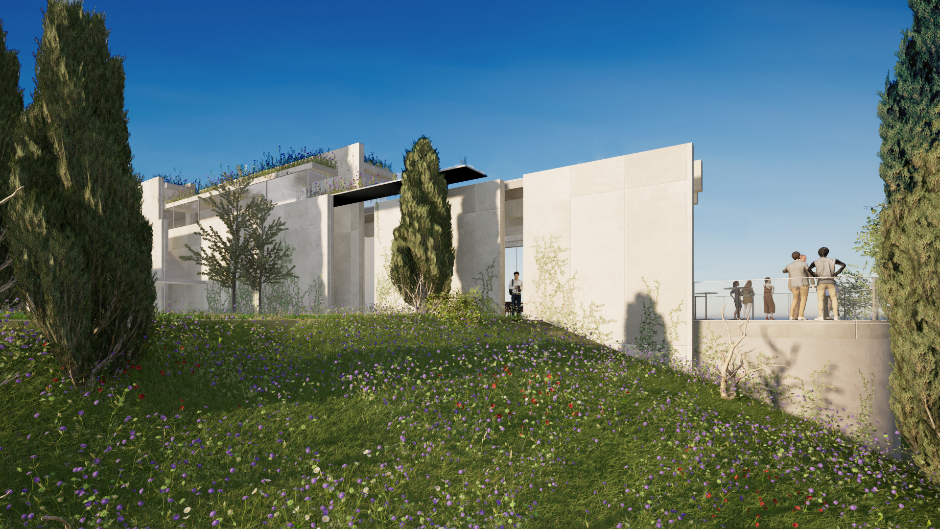 DESIGNDRAWBUILD-MOSTRASILLARAWINERY-6.png
