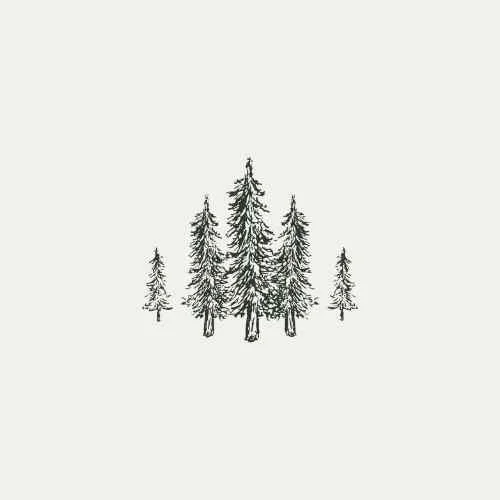 WBH white on green logo-4.jpg