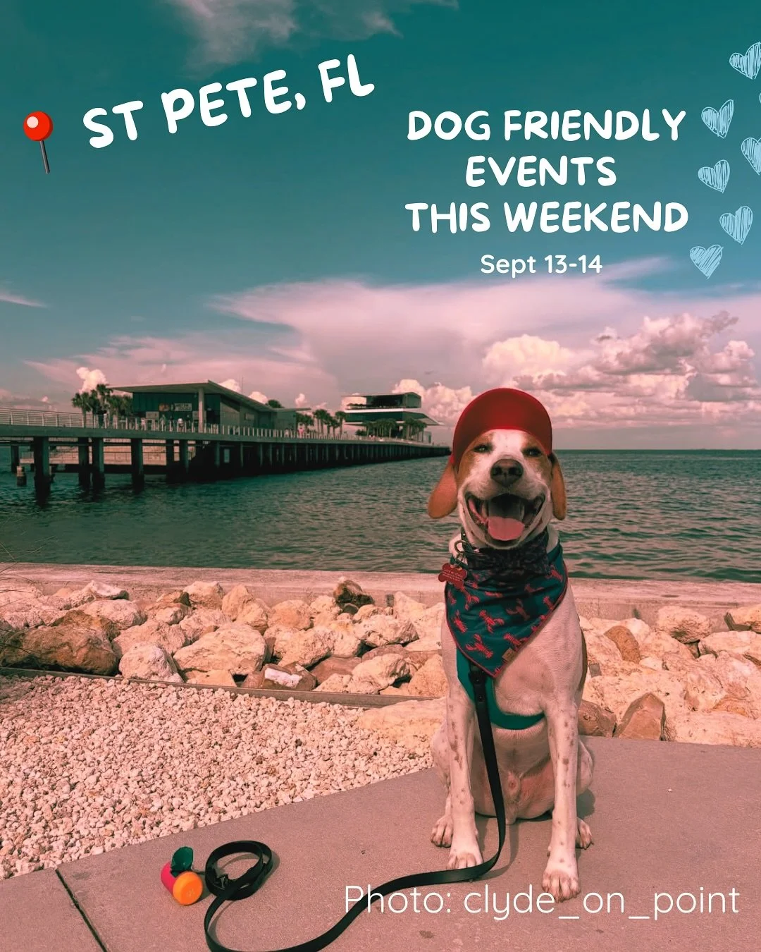 Looking for something fun to do with your pup (or just want dog cuddles + good vibes)? Here are events happening in St Pete this weekend you don&rsquo;t want to miss ⬇️

✨ Friday, Sept 13 &ndash; @outcastbrewingcompany Anniversary Market (2&ndash;6PM