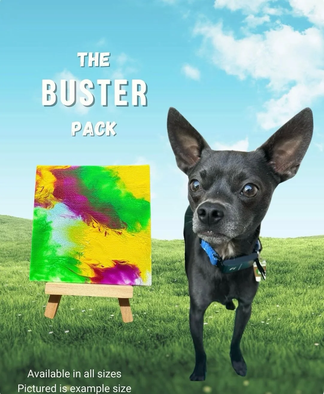 The Buster Pack is here! 🎨

Comment &ldquo;BUSTER&rdquo; &amp; we will DM the link 

Meet Buster @daisy_the_.chi 
A Chihuahua mix from Tampa, FL who lives to make people smile in silly costumes (and earn a few extra belly rubs 🥹).

His Pawcasso mes
