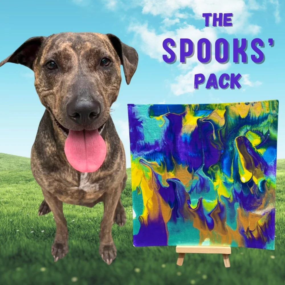 The Spooks Pack 🎨🐾 a fan favorite for a reason

Spooks is a Plott Hound mix from New Mexico, rescued by her dad and now living her best life in Florida as a trained service animal. Her only rule: if it dips under 75&deg;, the sweater is going on 💛