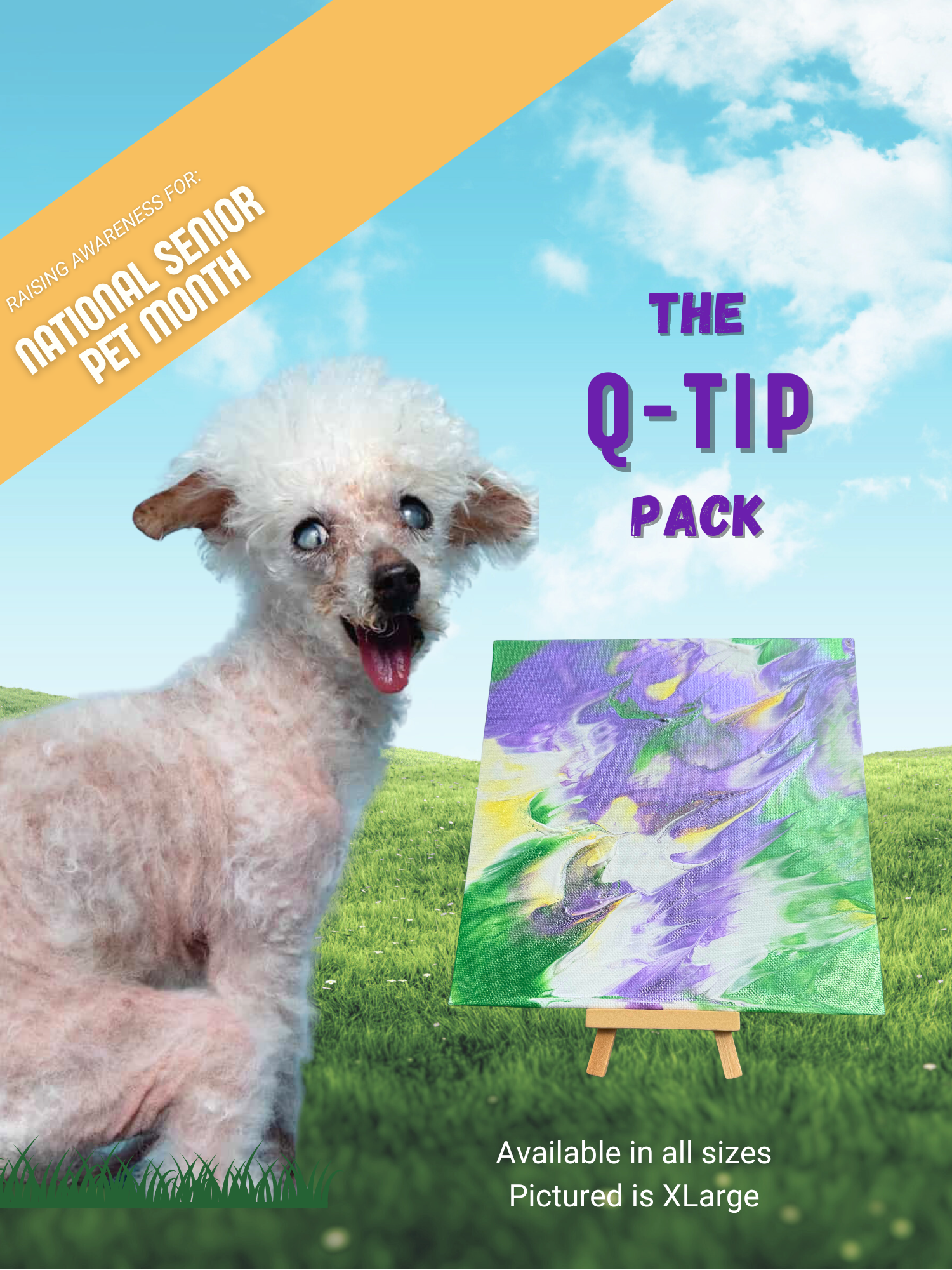 Q-Tip COver (2).png