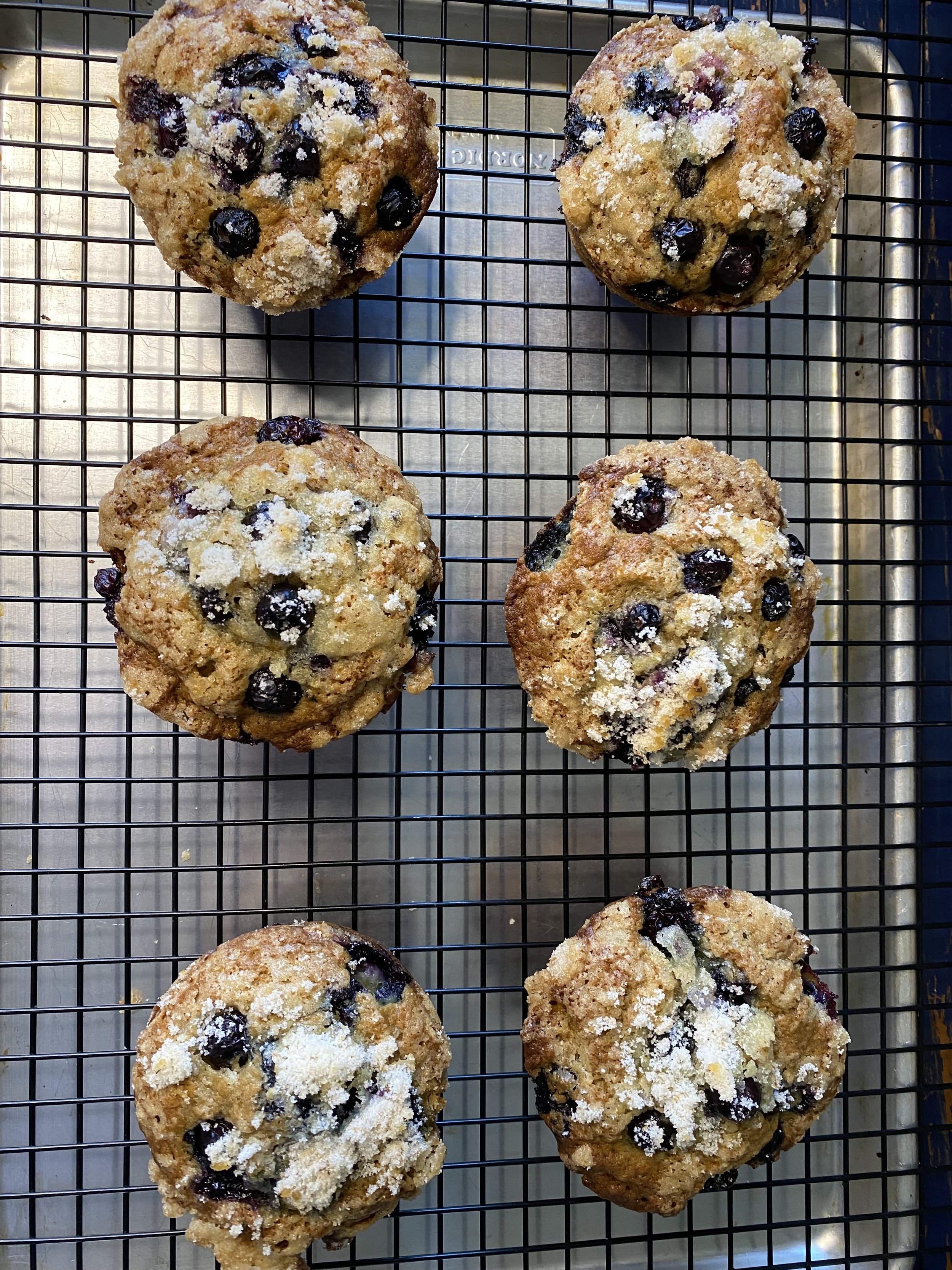 Giant Organic Blueberry Muffins
