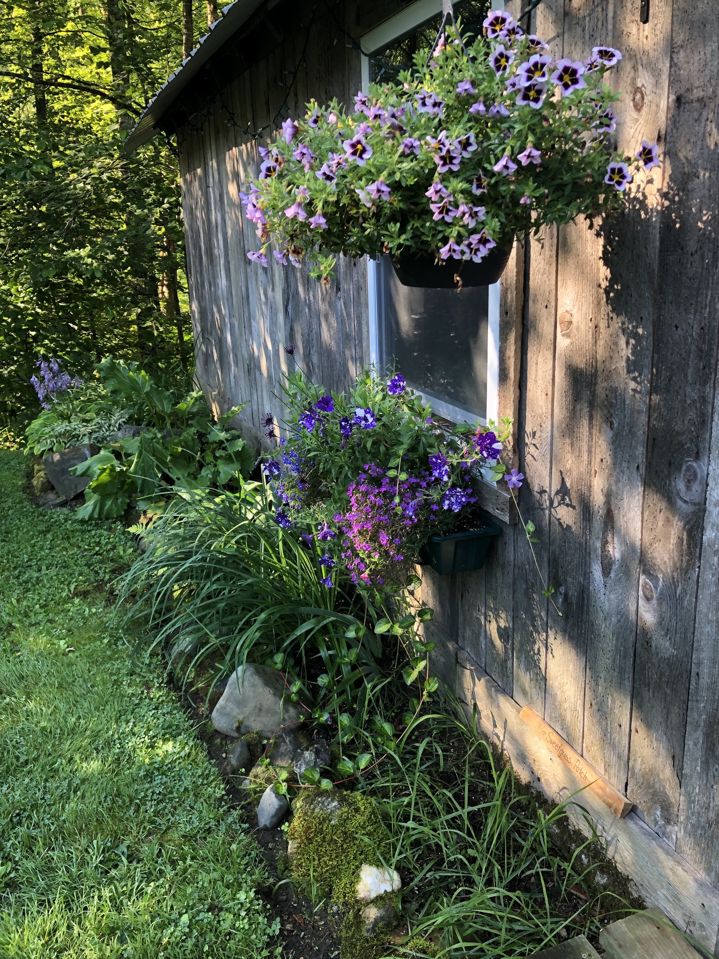 IMG_2923.jpeg