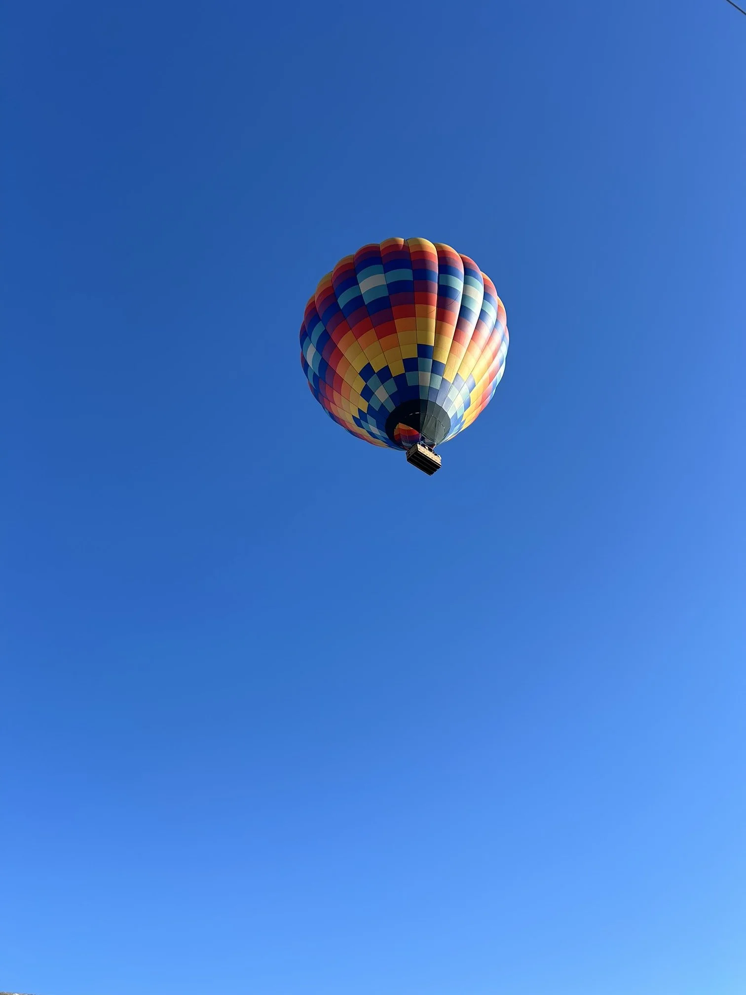 IMG_3766.jpeg