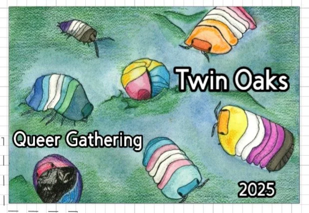 🦄 Twin Oaks Queer Gathering 2025 📅 September 12–14 📍 Twin Oaks Community, Central VA
What is this awesomeness?! A weekend of queertranstastic joy: workshops, dancing, art, skill shares, meetups, music, and radical community building in the