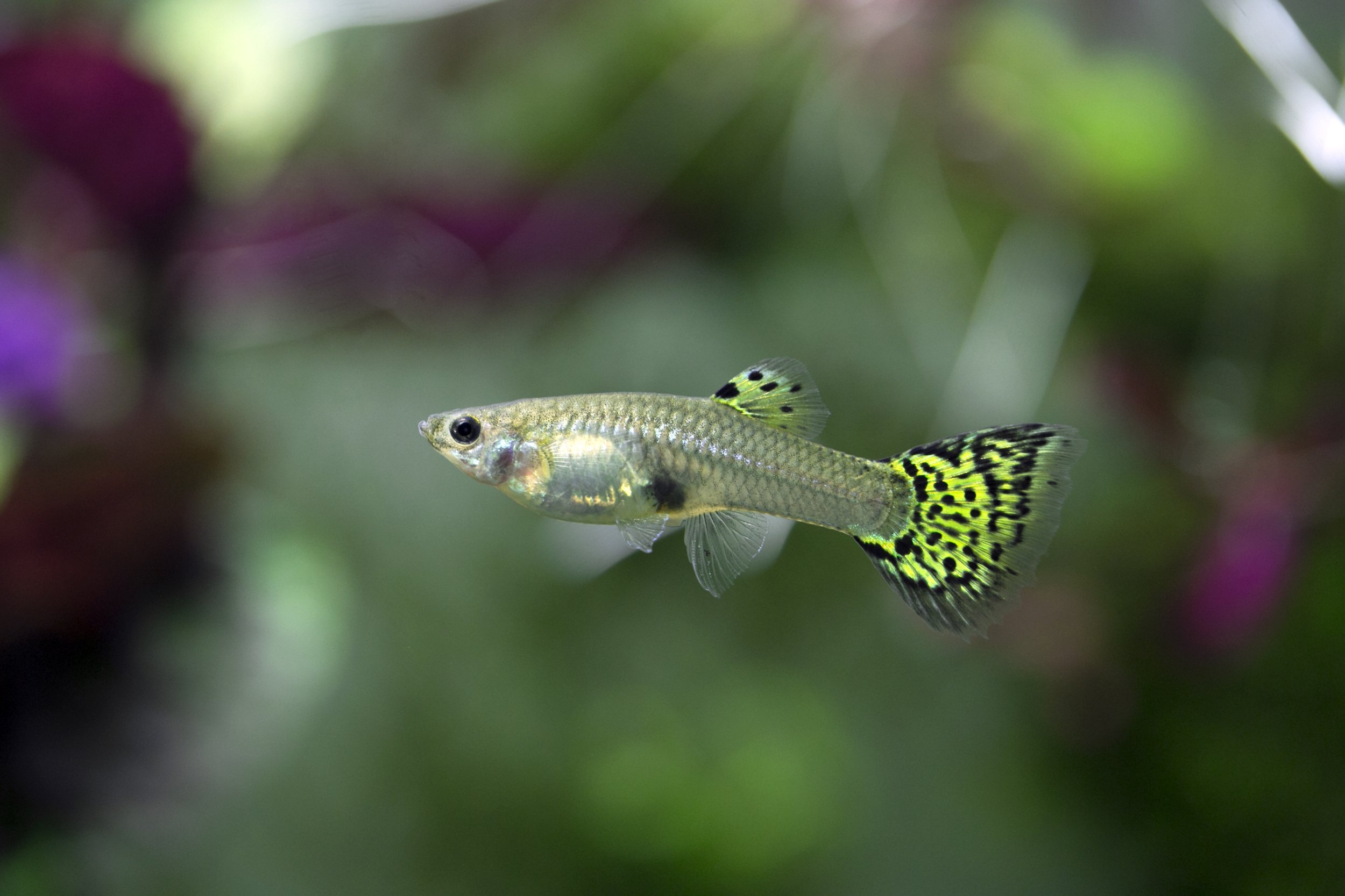 shutterstock_222612049.jpg