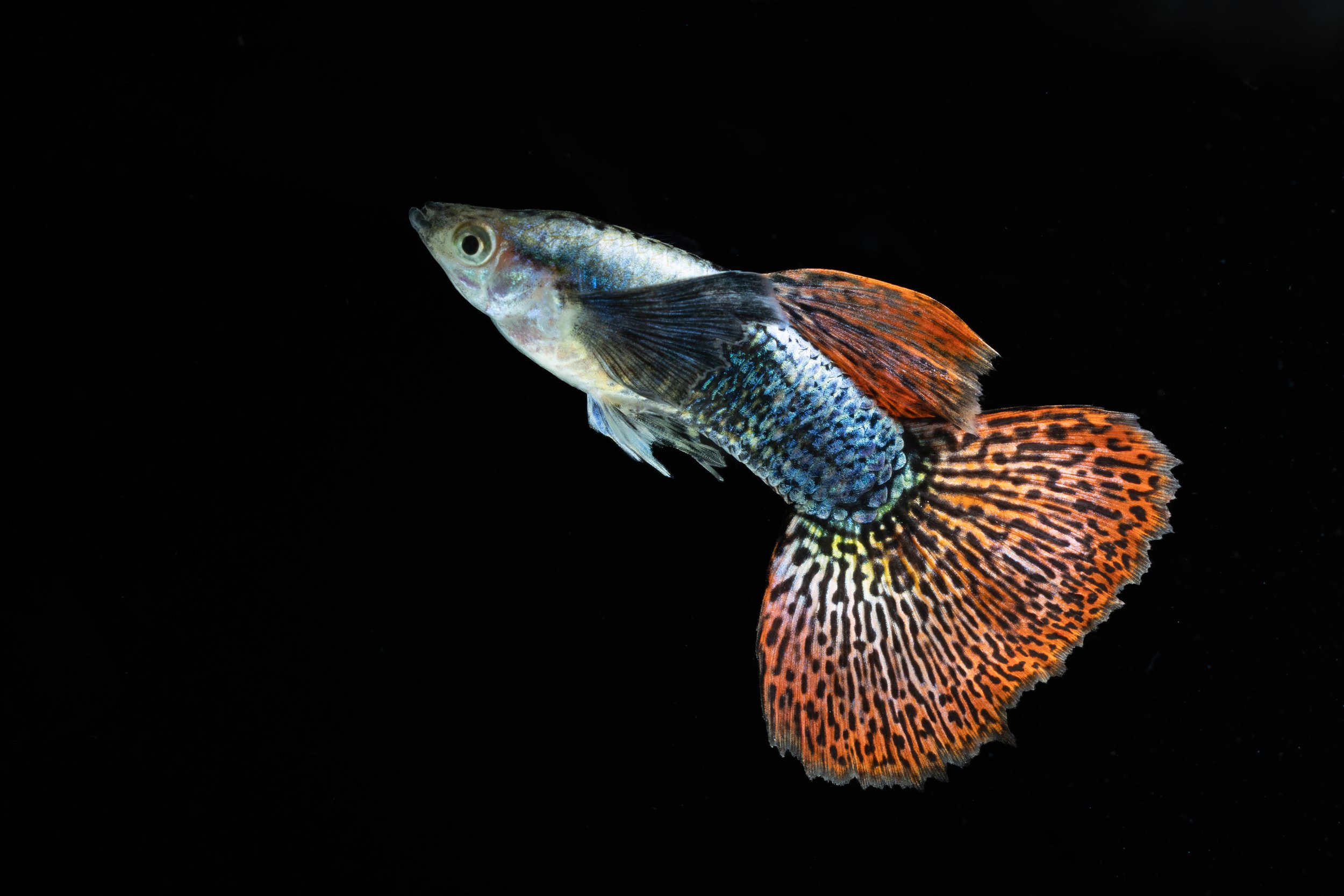 iStock-1759905187.jpg