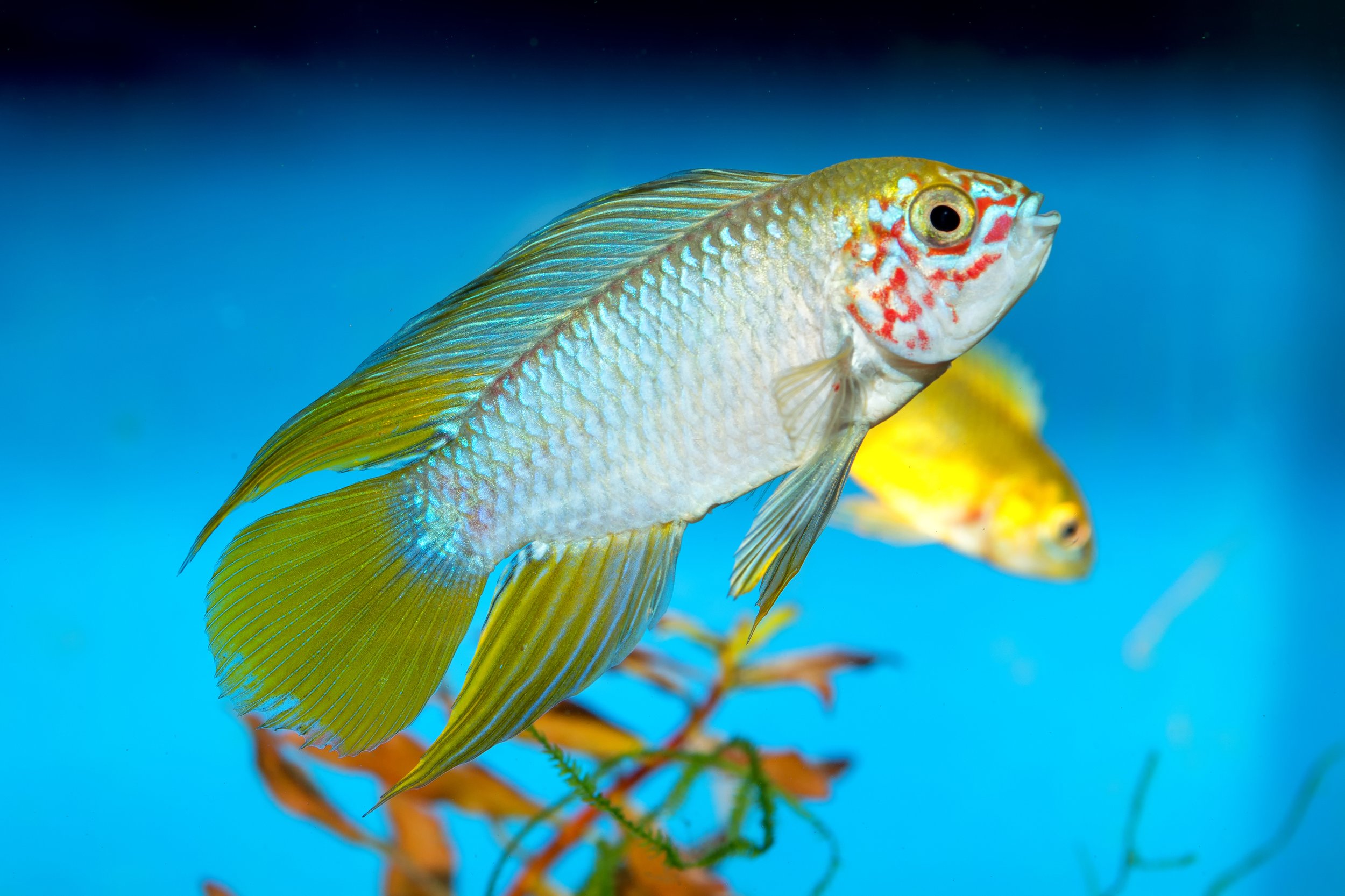 iStock-479567222.jpg