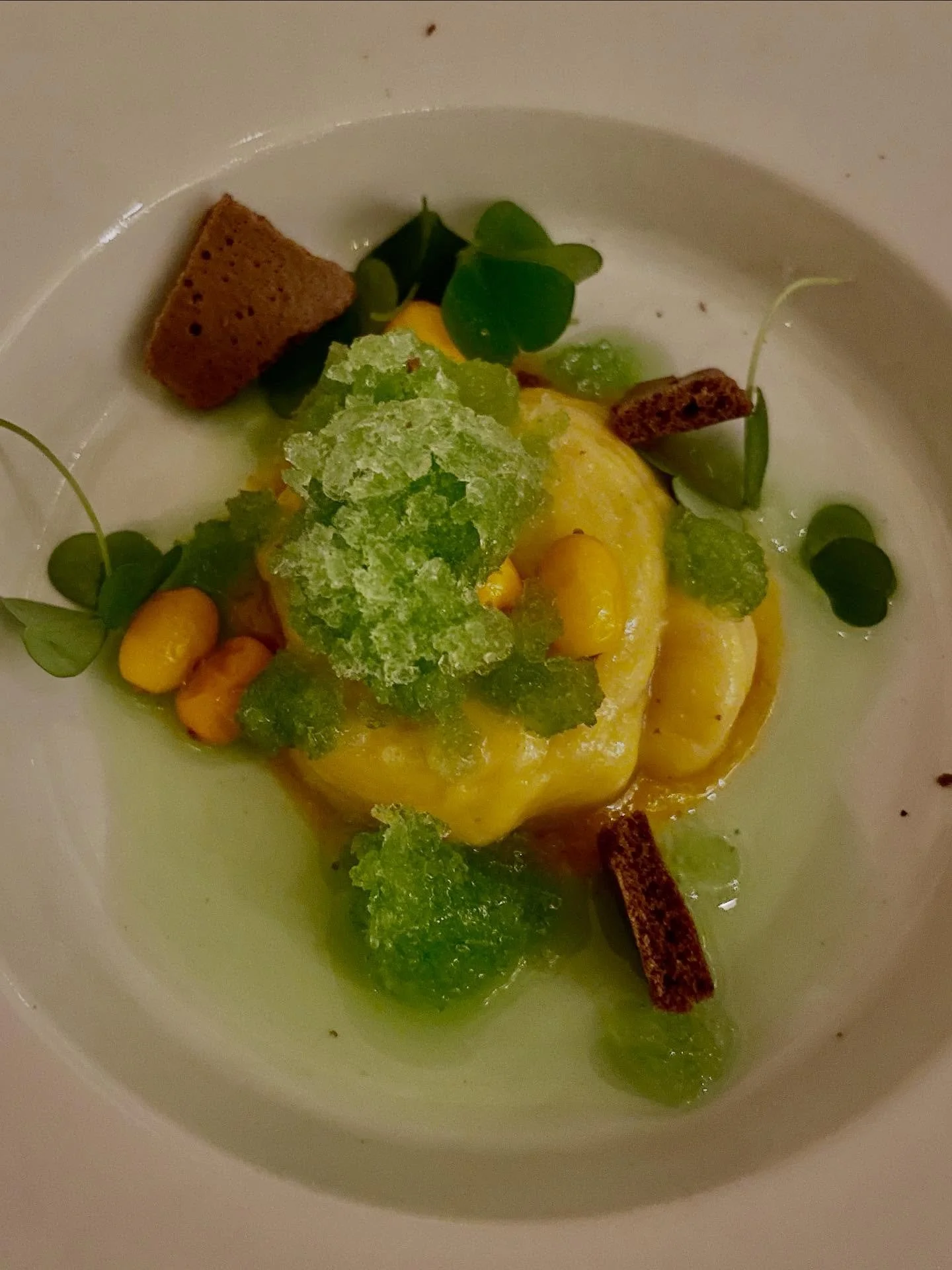 Kun gastronomia kohtaa taiteen, syntyy totaalisen huikea, kaikki aistit avaava 7 ruokalajin ilotulitus ja tajunnanr&auml;j&auml;ytt&auml;v&auml; el&auml;mys 5/5! 👌👌👌👌👌
Fermentoituja sieni&auml; ja grillattua luomu maa-artisokkaa &bull; Hapanjuur