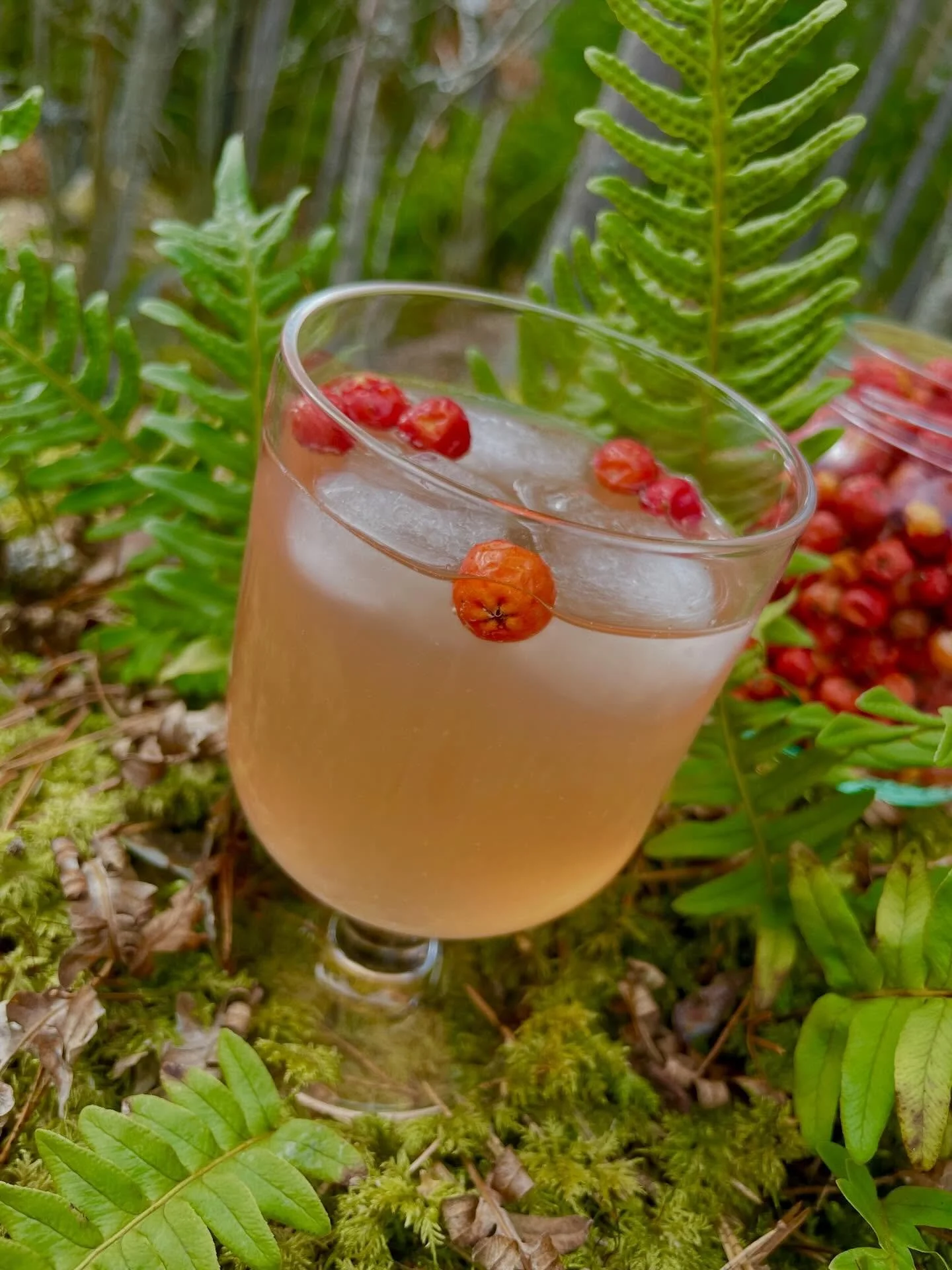 Hyv&auml;&auml; p&auml;&auml;si&auml;ist&auml;! 
Juhlajuoman pohjana on pihlajanmarjoilla j&auml;lkifermentoitu villiyrttikombucha, mocktail-versiossa sekaan lorautetaan koivunmahlaa. Cocktail-versioon laitetaan proseccoa. 
🐣 🌿 🍸🐣 🍸 🌿 🐣
#villi
