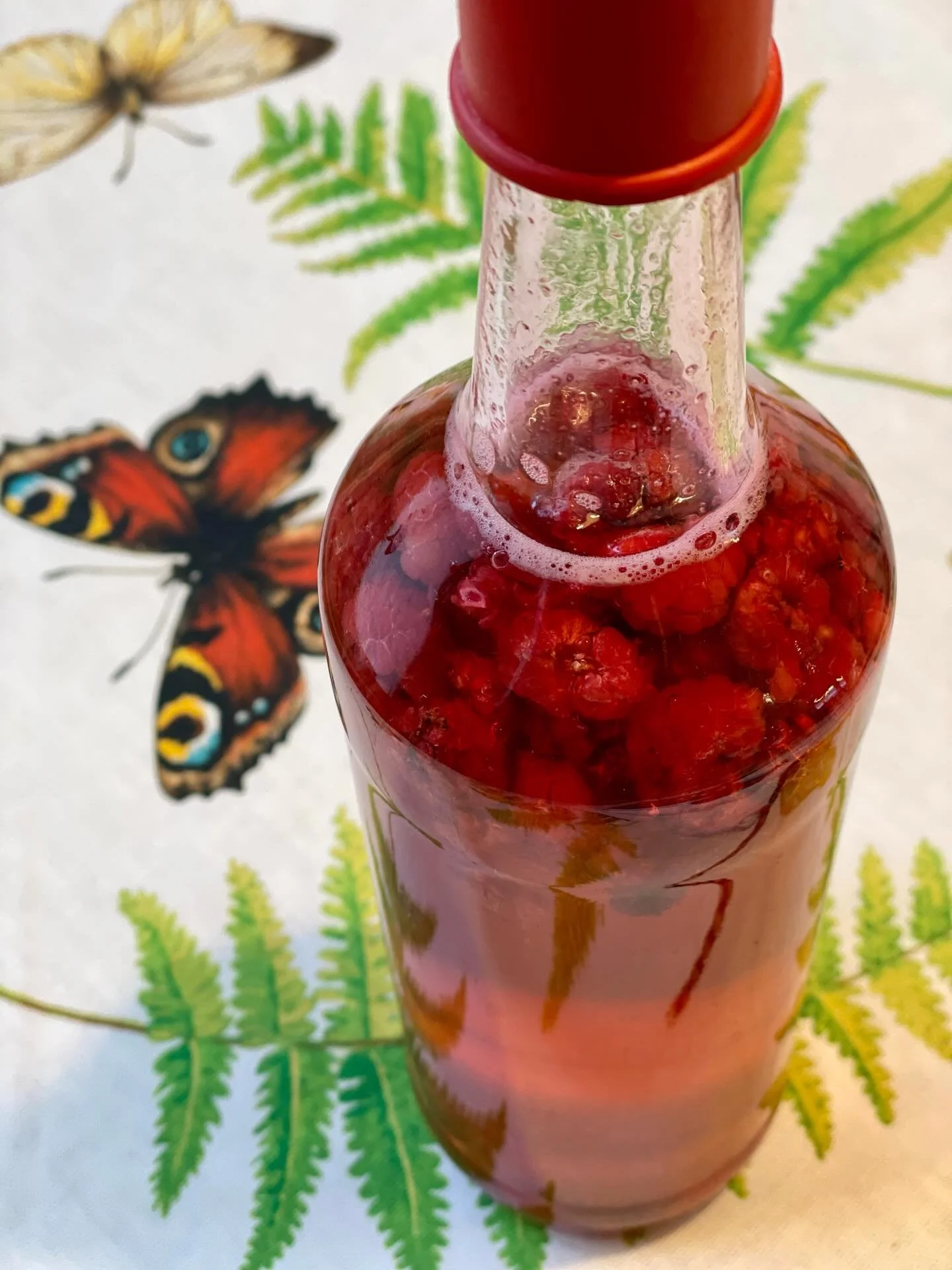 Villiyrttikombucha on sin&auml;ll&auml;&auml;n maukasta, mutta perusjuoman tuunaus marjoilla tai hedelmill&auml; on helppoa ja hauskaa. Laitoin osaan juomasta sesongin sitrushedelm&auml;&auml;, veriappelsiinia. Siit&auml; kehkeytyi muutamassa p&auml;