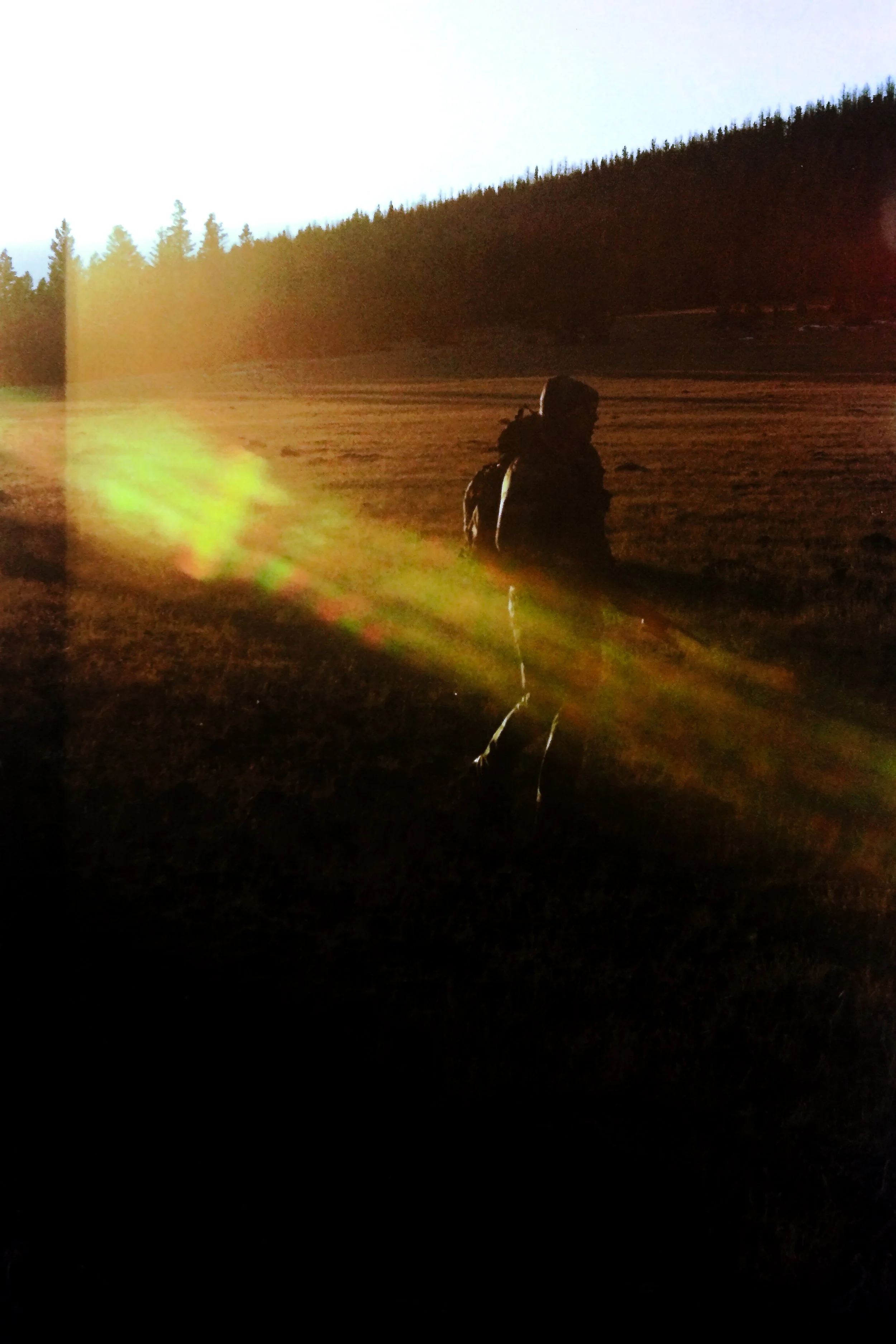 IMAG0005.jpg