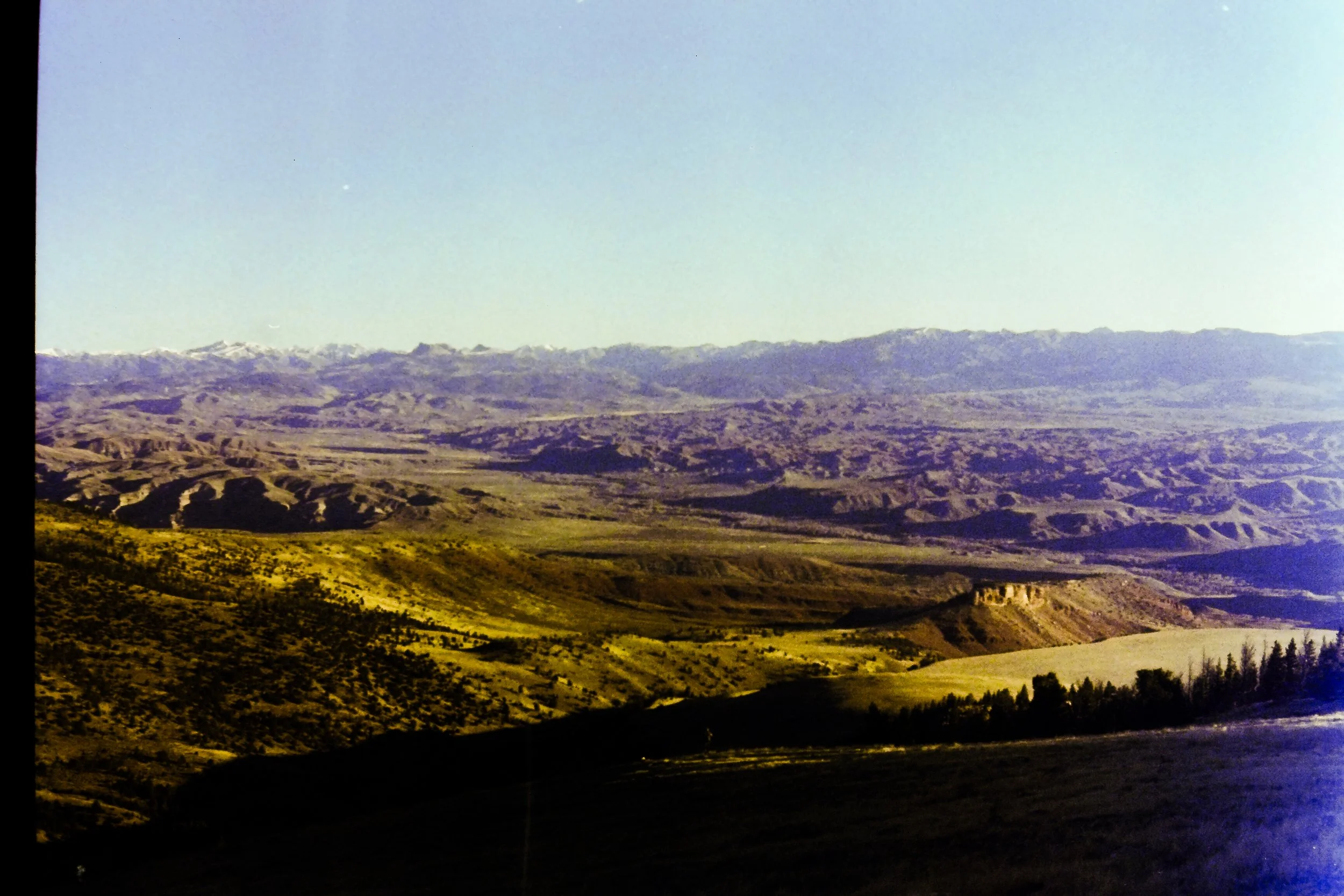 IMAG0007.jpg