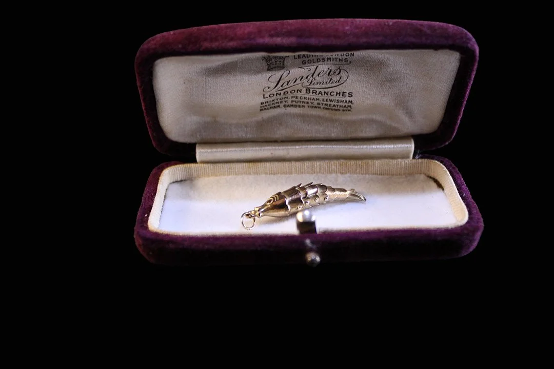 Articulated Fish ensconced in its antique case