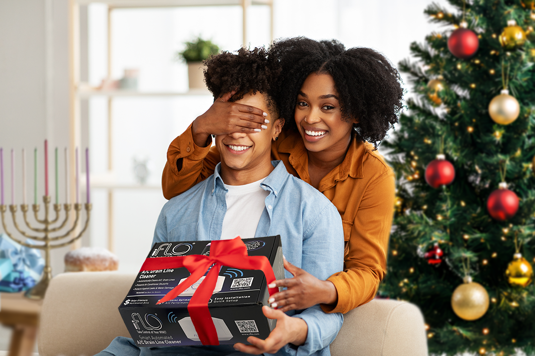 iFLO Gift Smaller.png